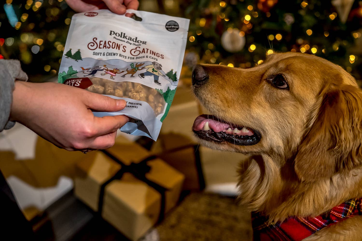 Holiday Pouch: Seasons Eatings (Turkey & Cranberry) - 12oz