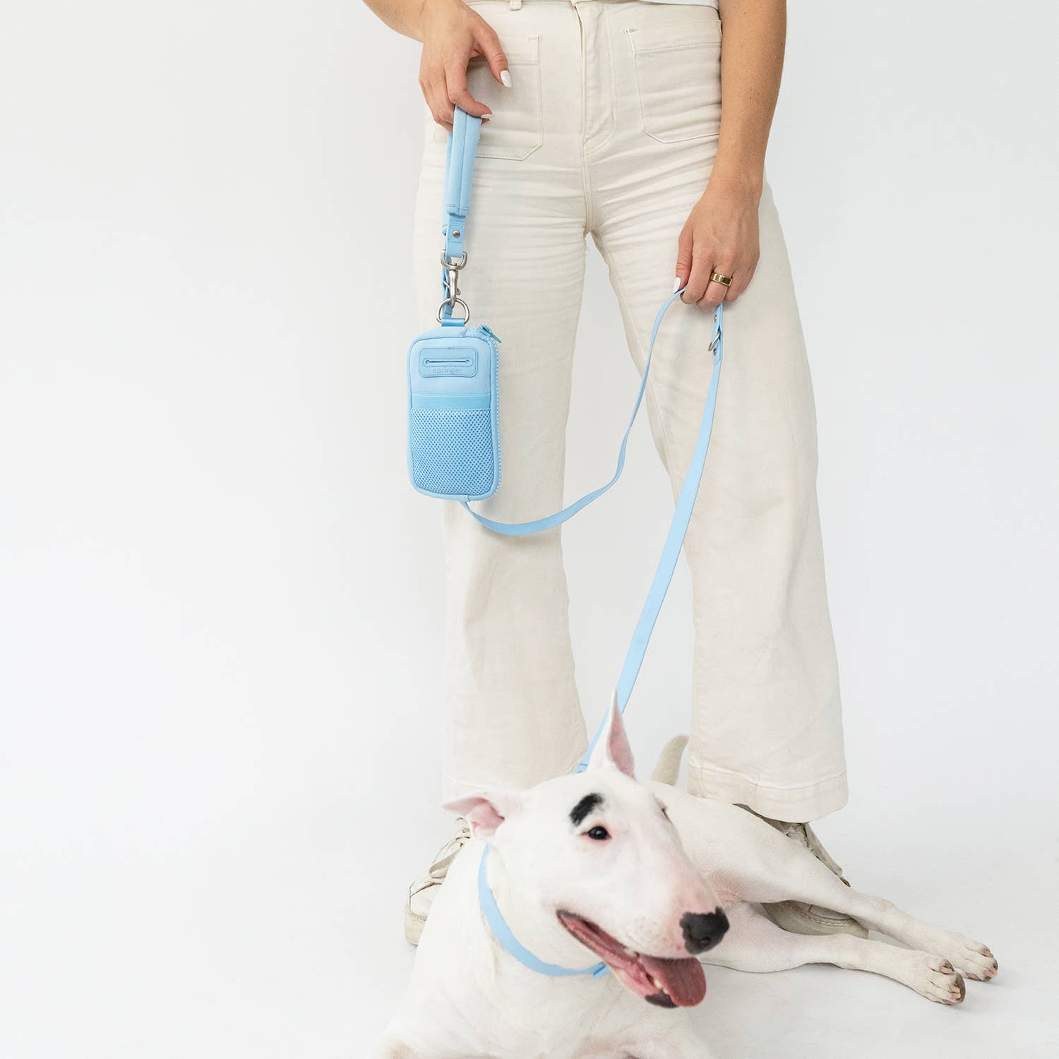 Springer - Walk Bag With Dog Leash