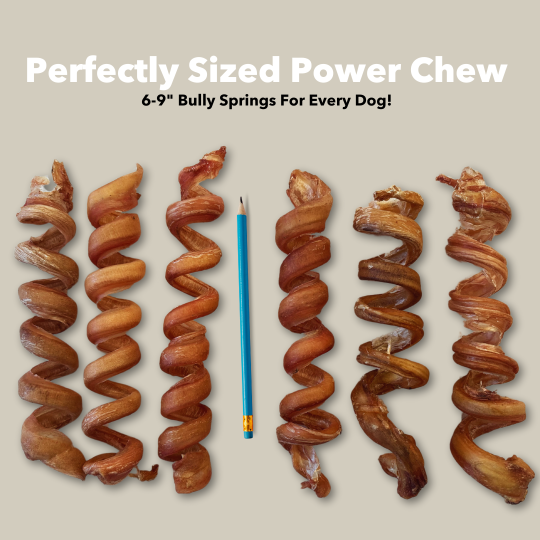 Mighty Chewz - 6-9" Bulk Bully Springs
