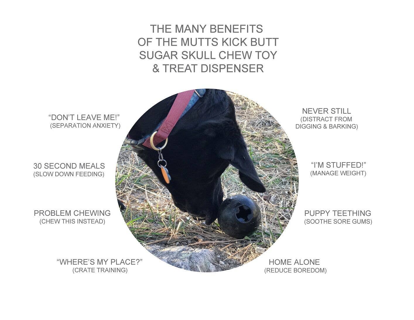 MKB Skull - Chew Toy - Treat Dispenser - Large: Black