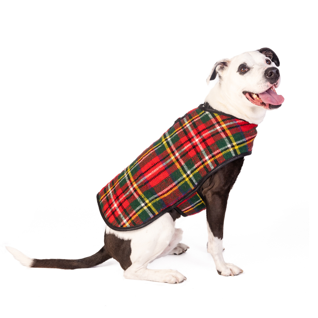 CHILLY DOG LLC - Scotty Plaid Dog Blanket Coat