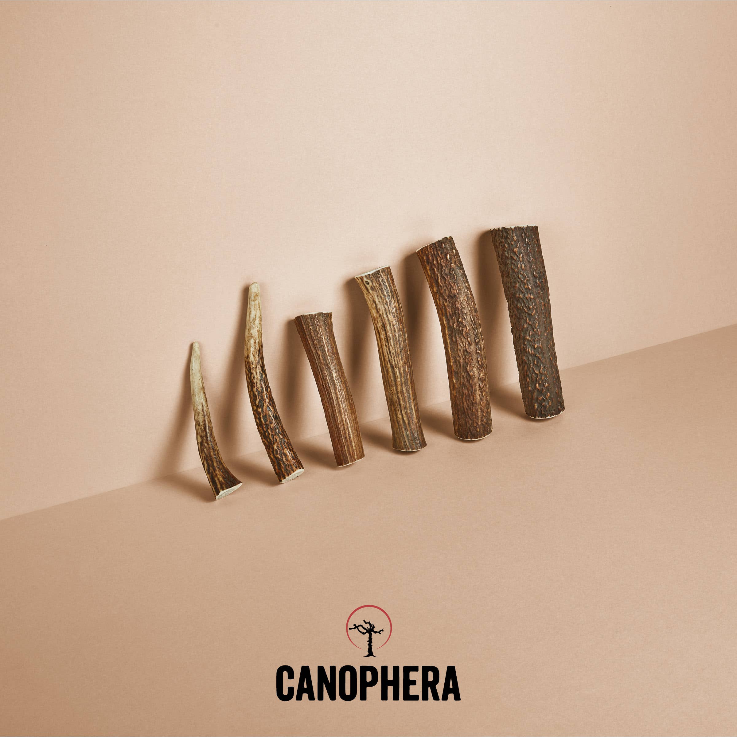 CANOPHERA LLC - Dog Chew Made of Red Deer Antlers.: English / L