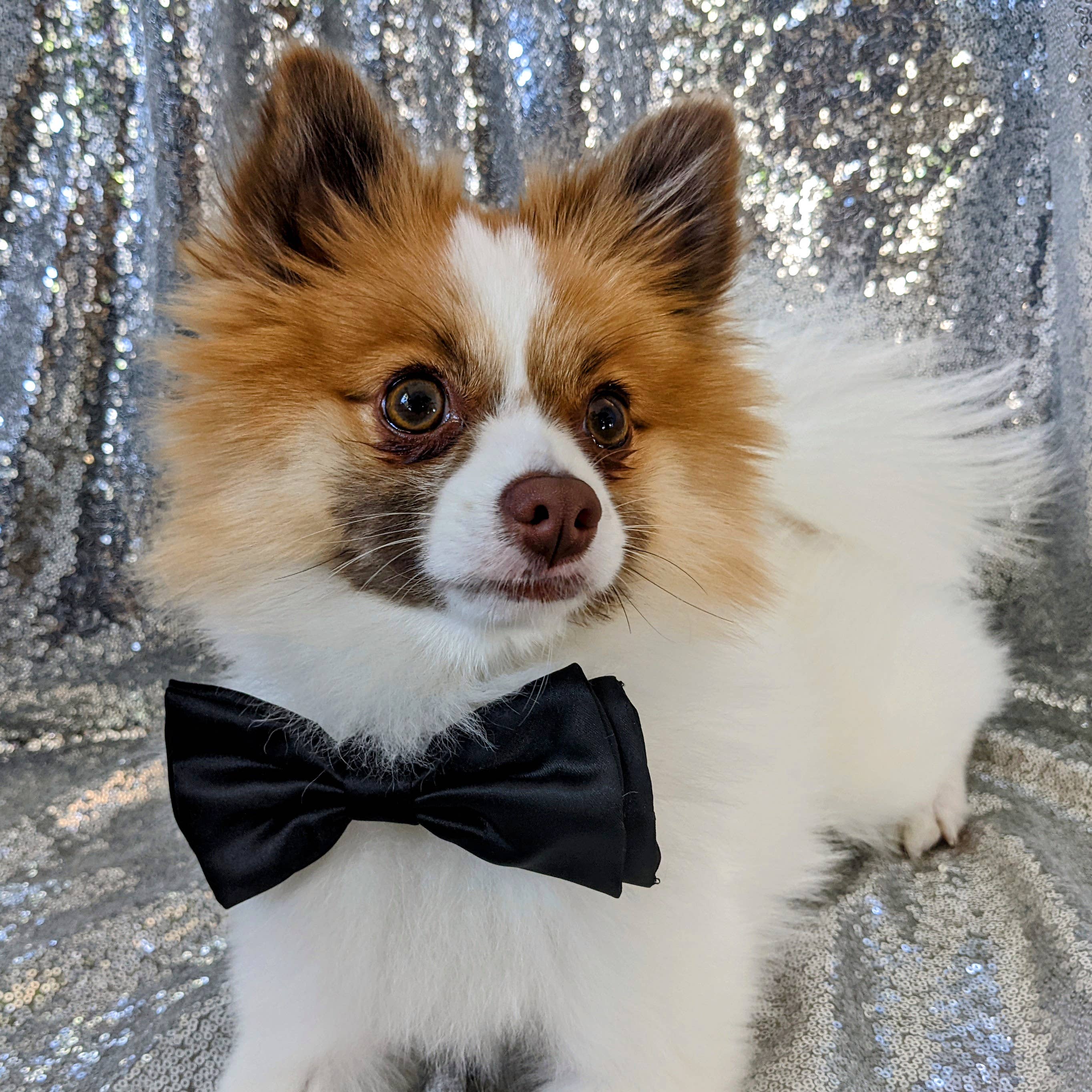 Bow Tie Black Satin