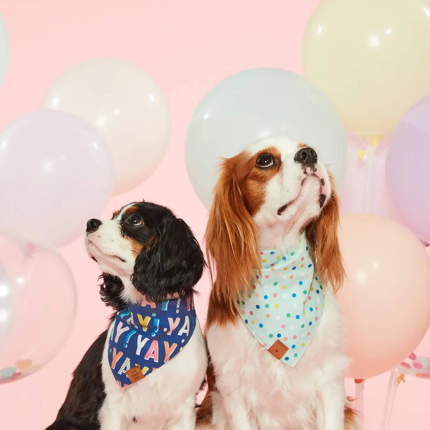 Birthday Yay Navy Dog Bandana (Reversible)