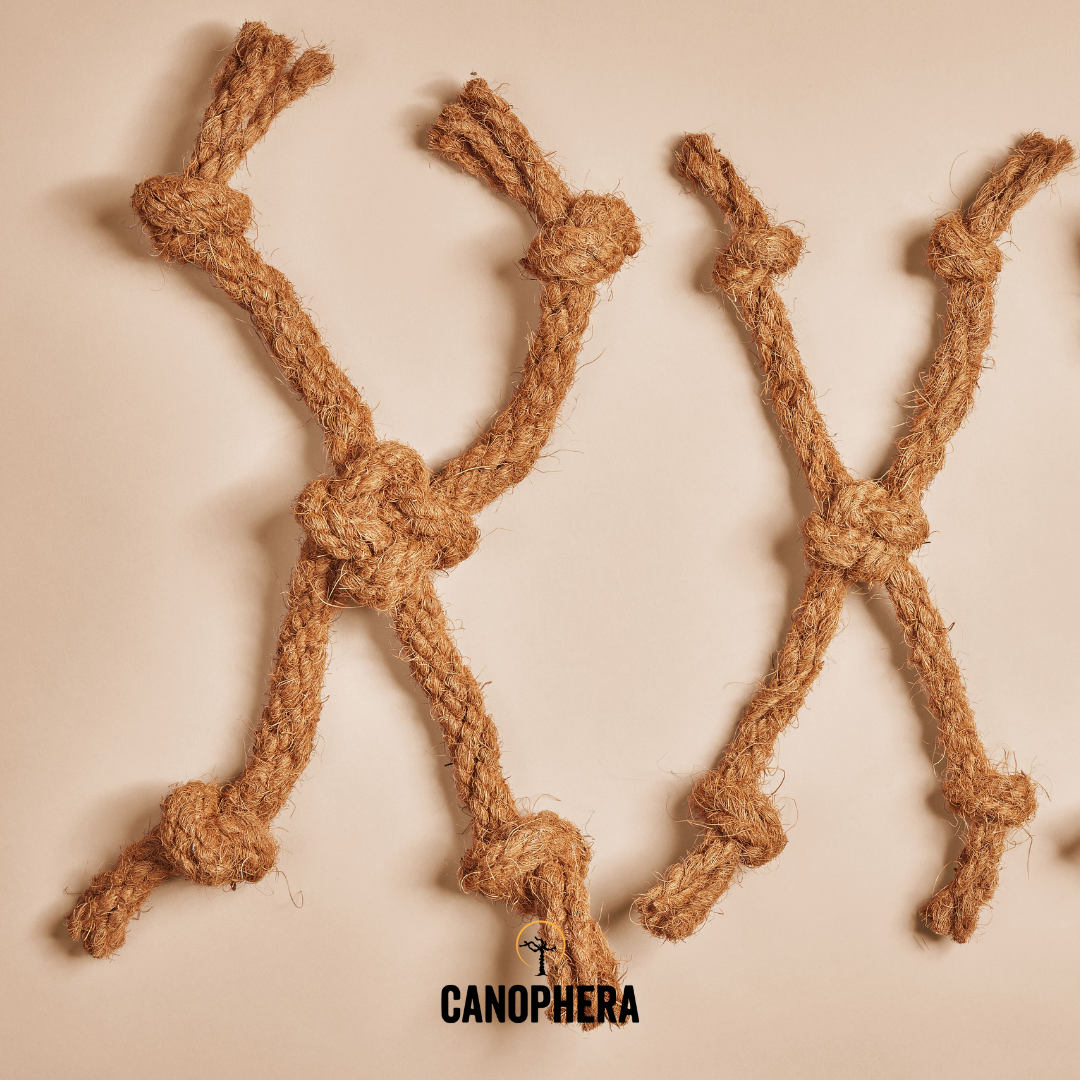 CANOPHERA LLC - Dog Toy Made Of Coconut Rope - CocoSpider