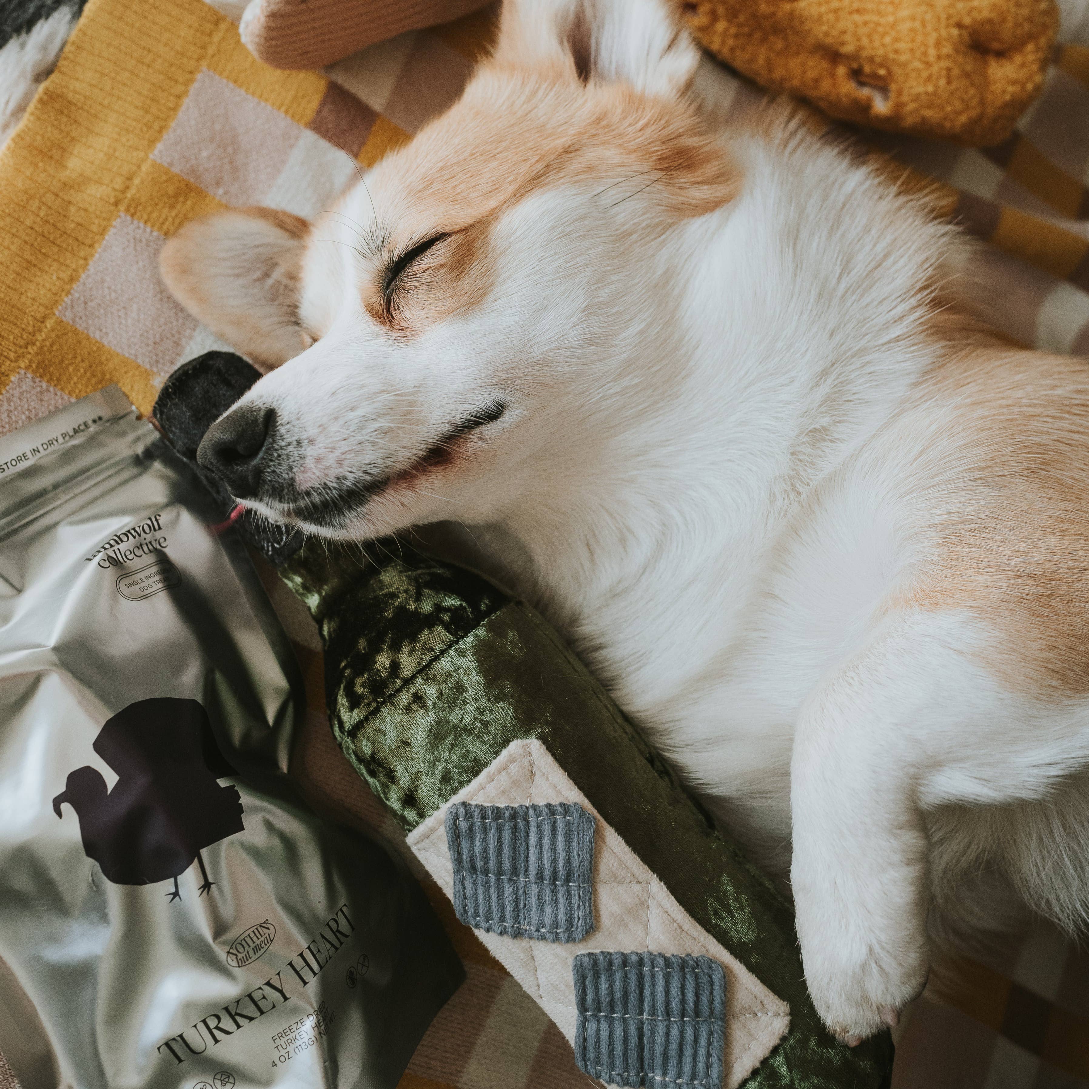 Lambwolf Collective - MERLOT//ENRICHMENT DOG TOY