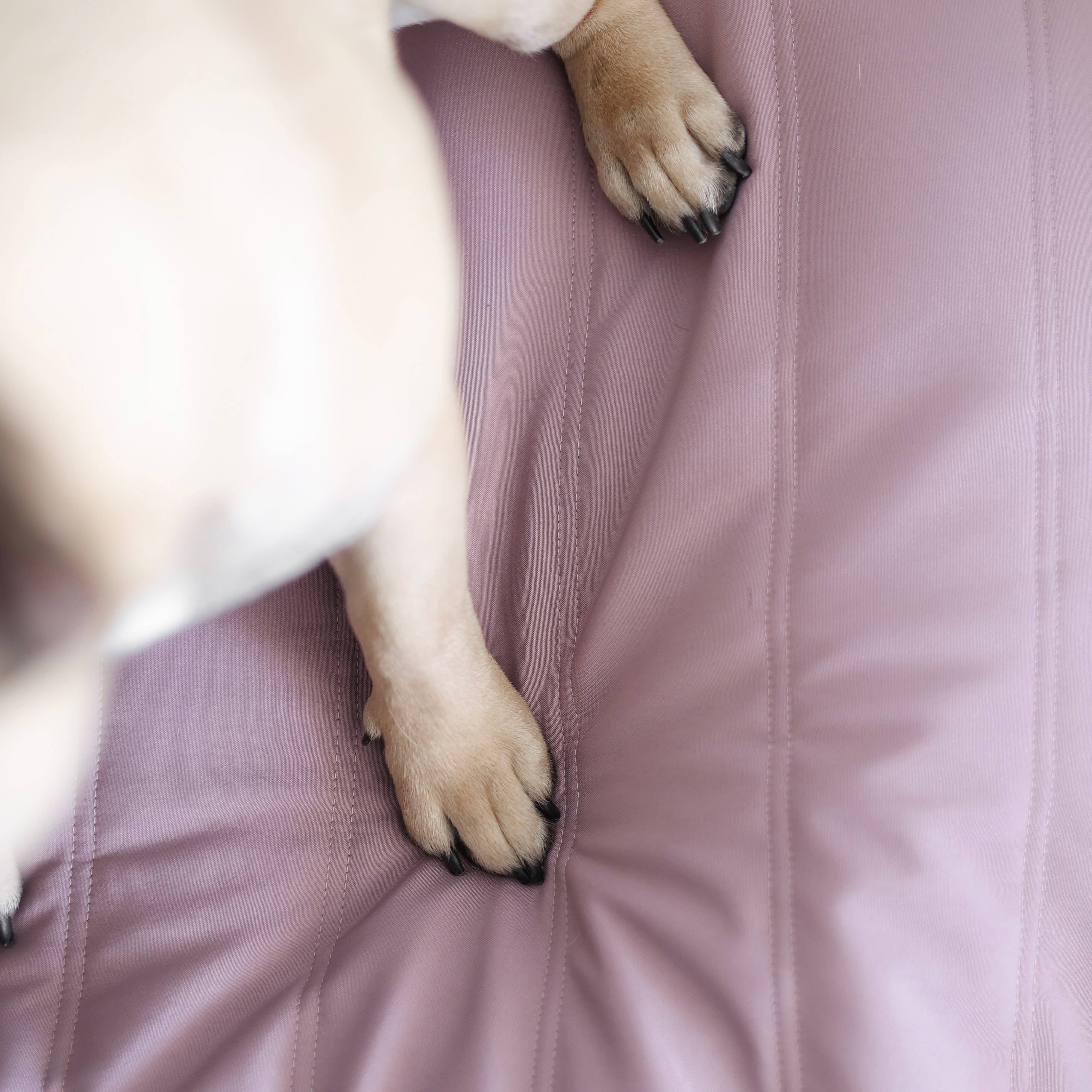 MAATIN | PET BED//DOG BED: Small / Fern