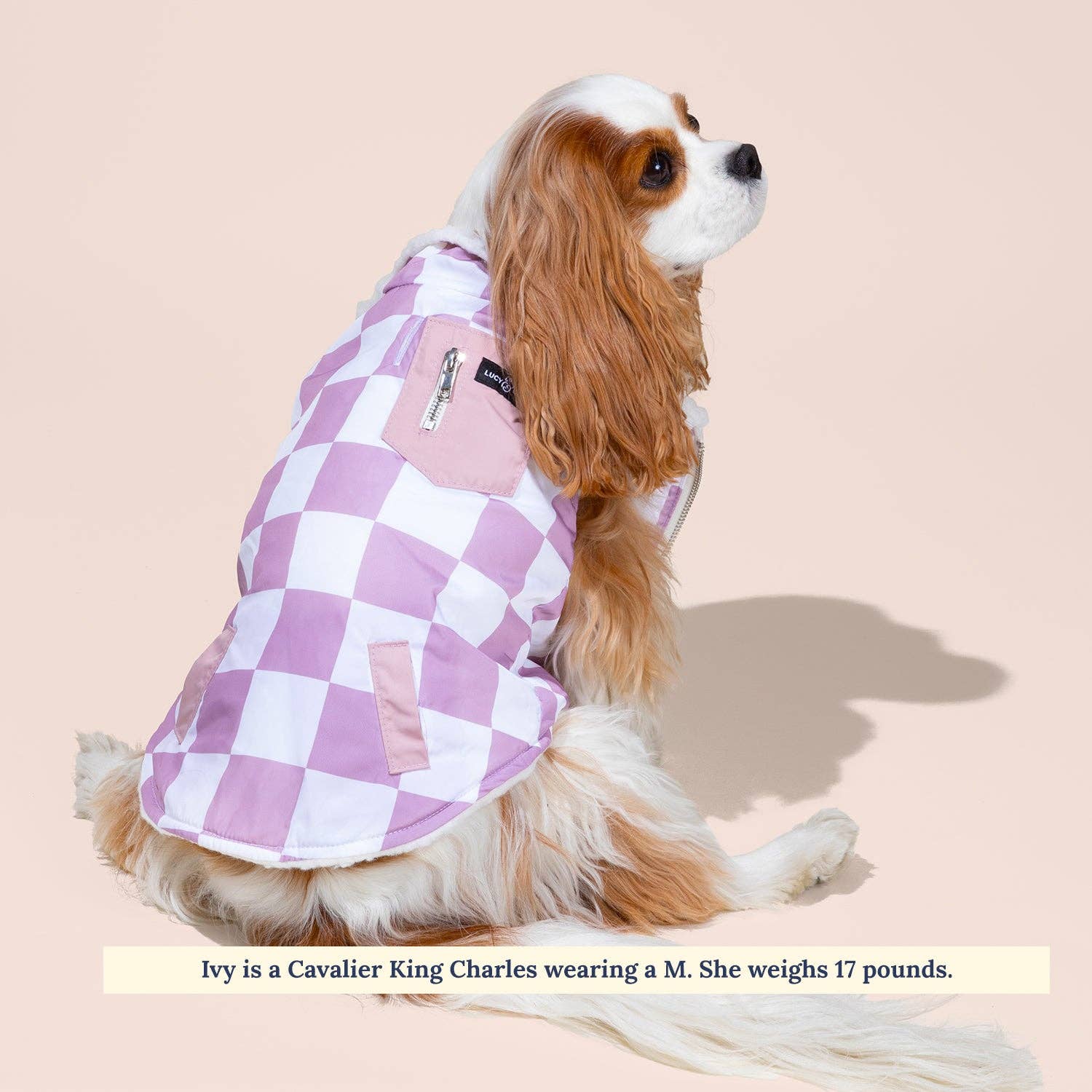 The Checked Out Reversible Teddy Vest: 2XL