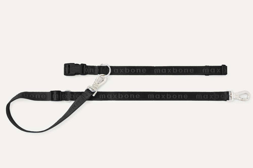 Go With Ease! Hands Free Dog Leash: Peach