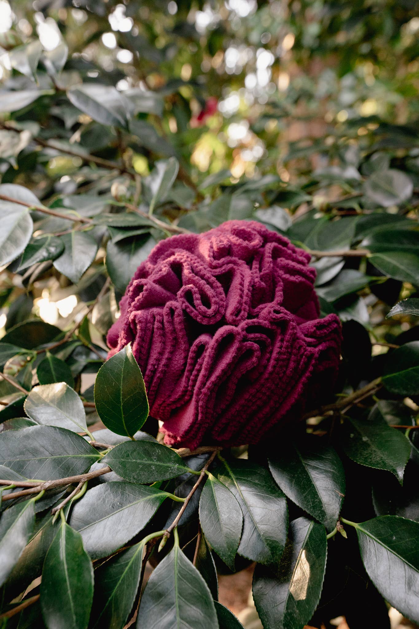 Love Liparu - Snuffle Ball