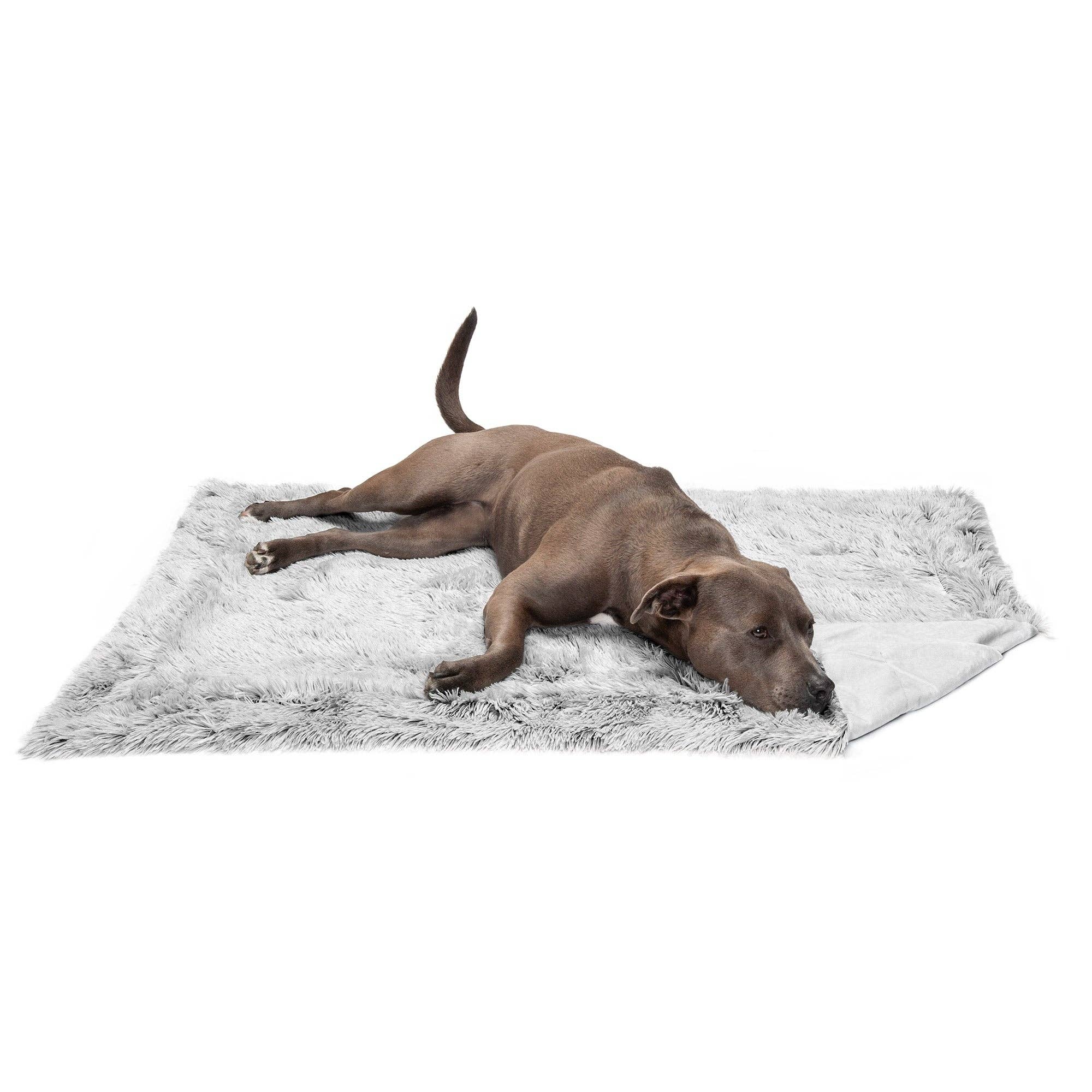 Long Fur & Velvet Pet Throw Blanket: Mist Gray / Extra Large
