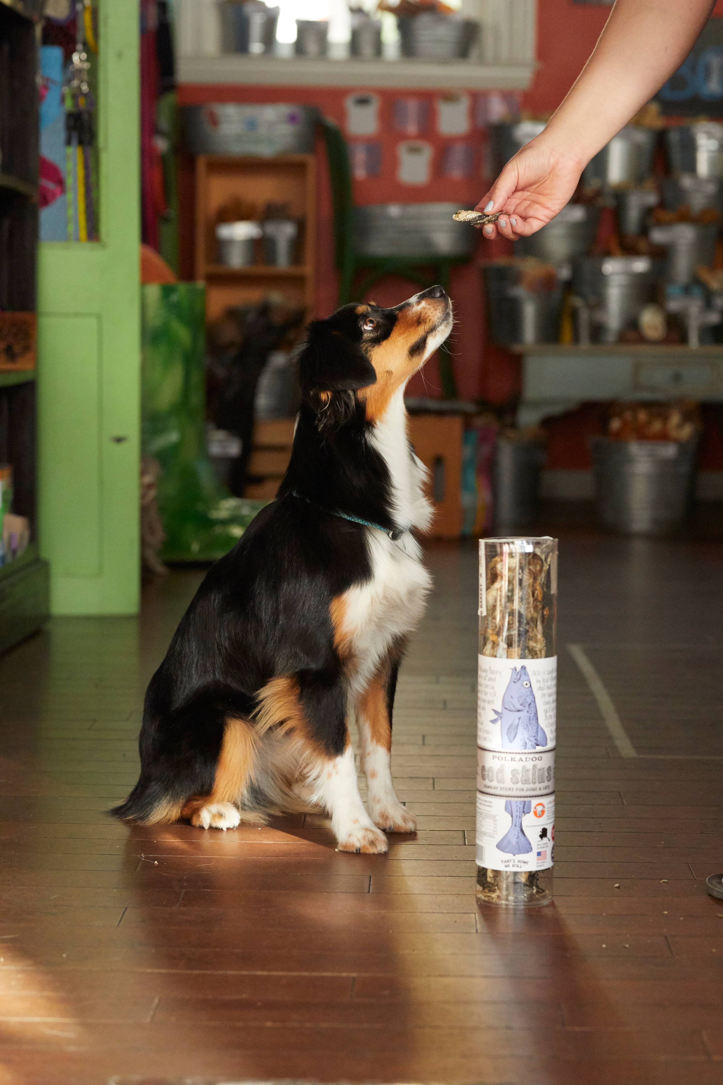 Polkadog - Cod Skins - 2.5oz Tube - Dog Treats
