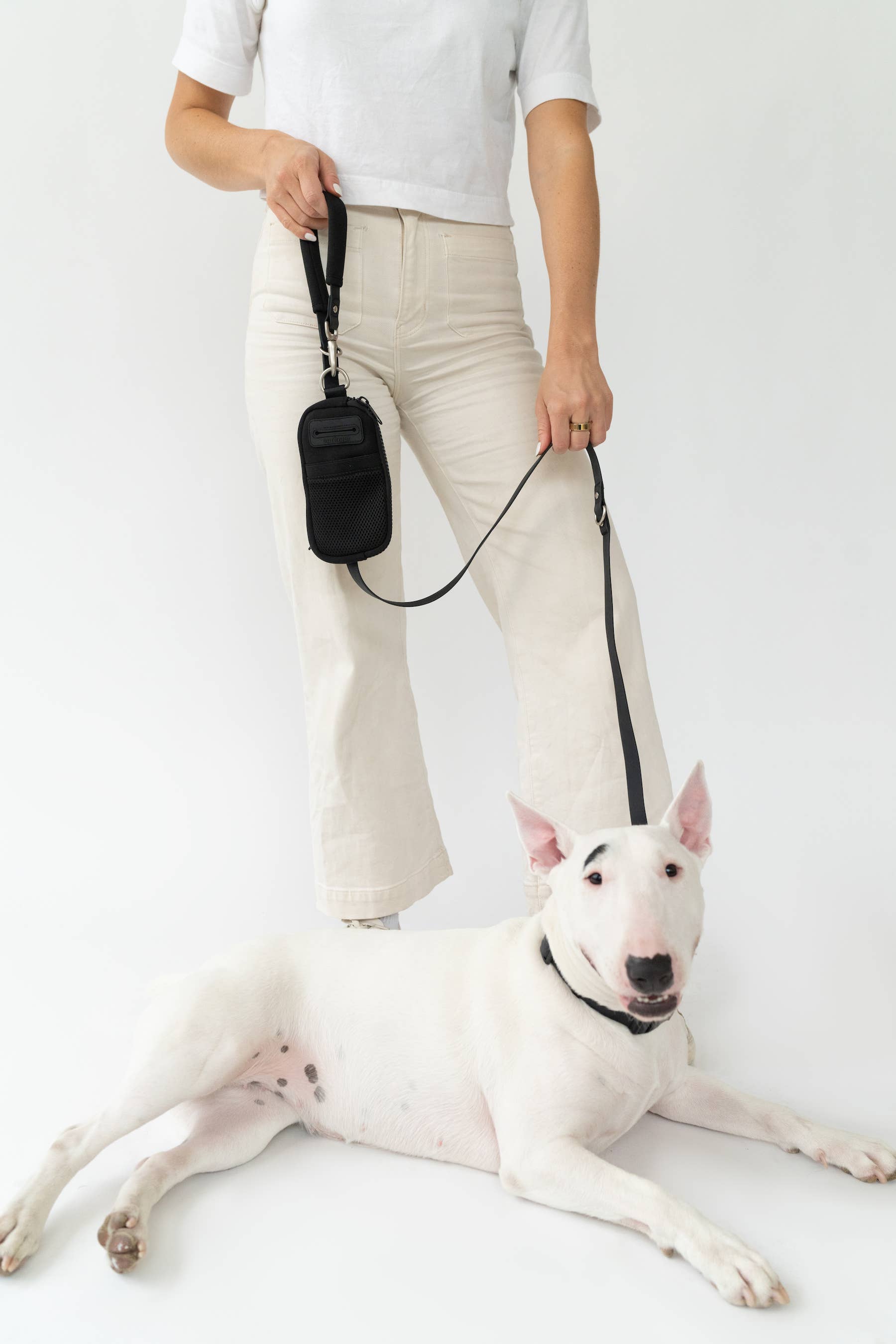 Springer - Walk Bag With Dog Leash