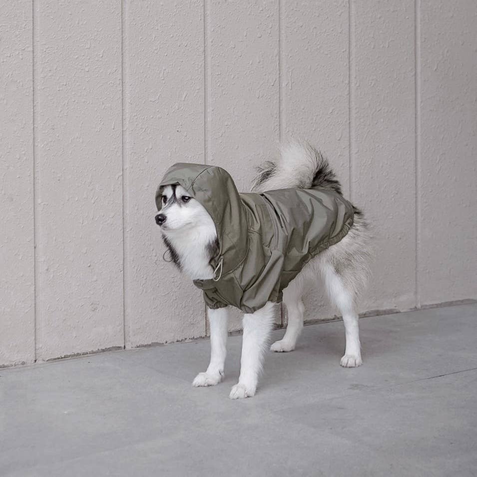 BROOKLYN//DOG CLOTHING//APPAREL: XXL / Fern