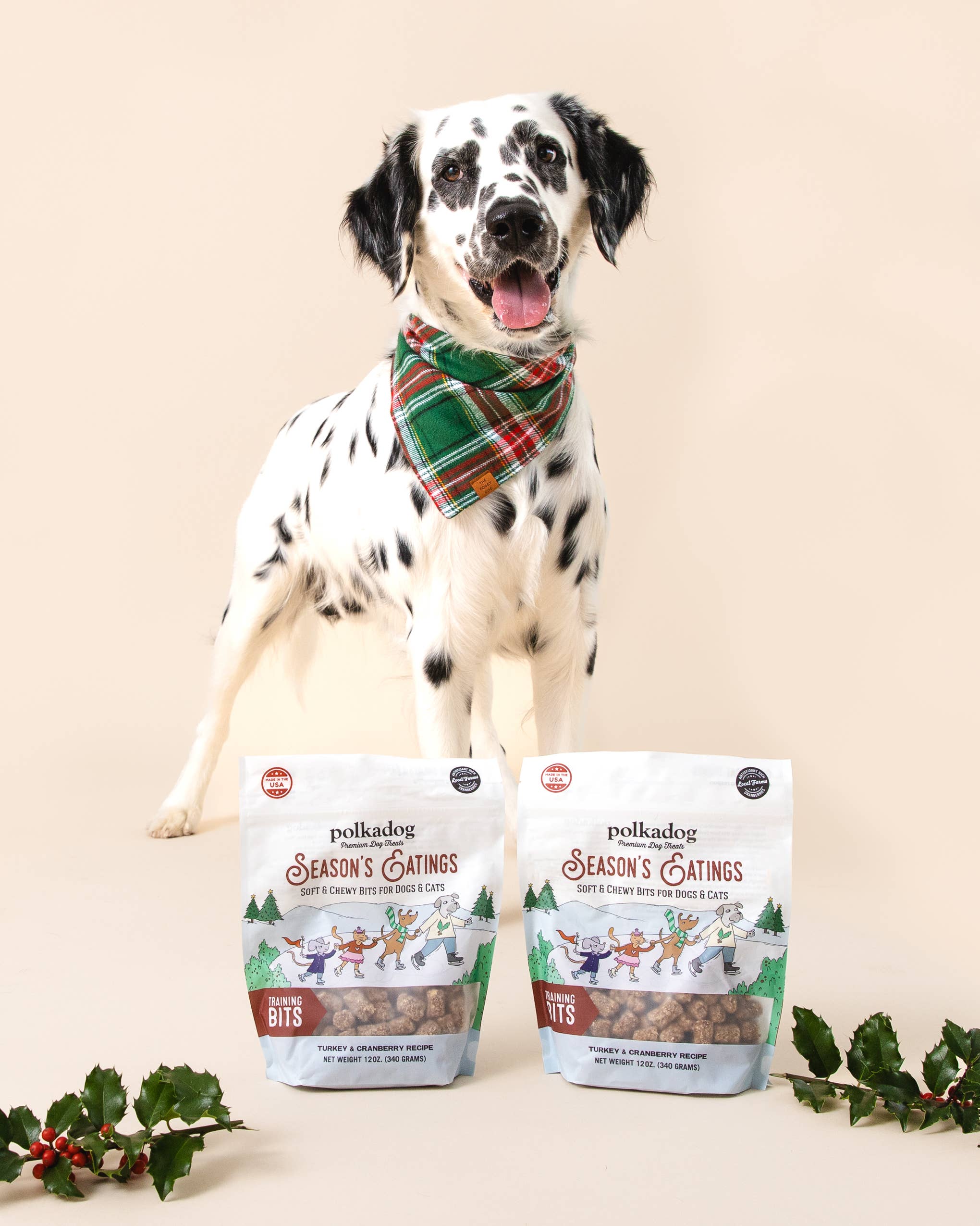 Holiday Pouch: Seasons Eatings (Turkey & Cranberry) - 12oz