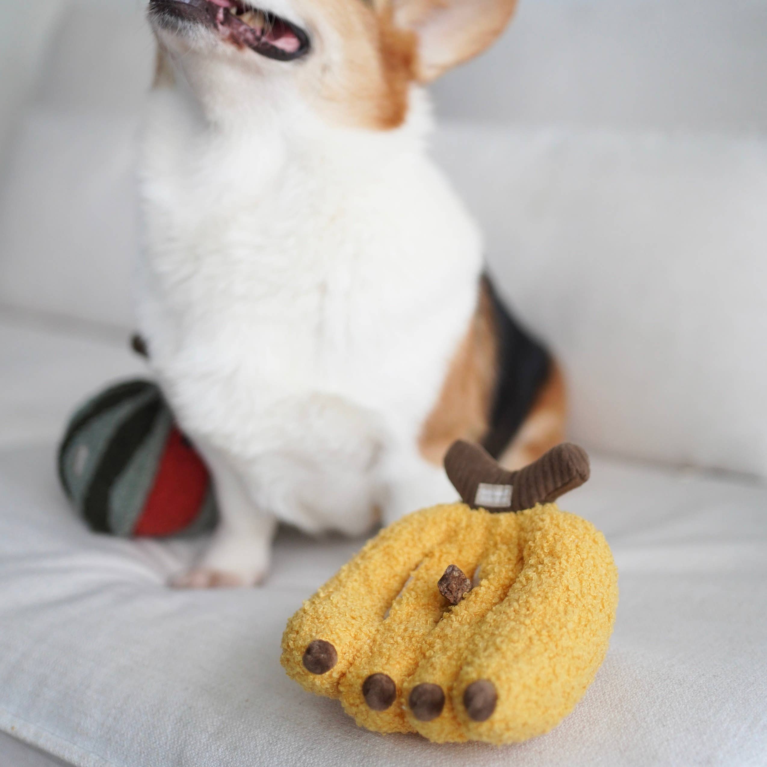Lambwolf Collective - BANANA// ENRICHMENT TOY SET// SNUFFLE TOY