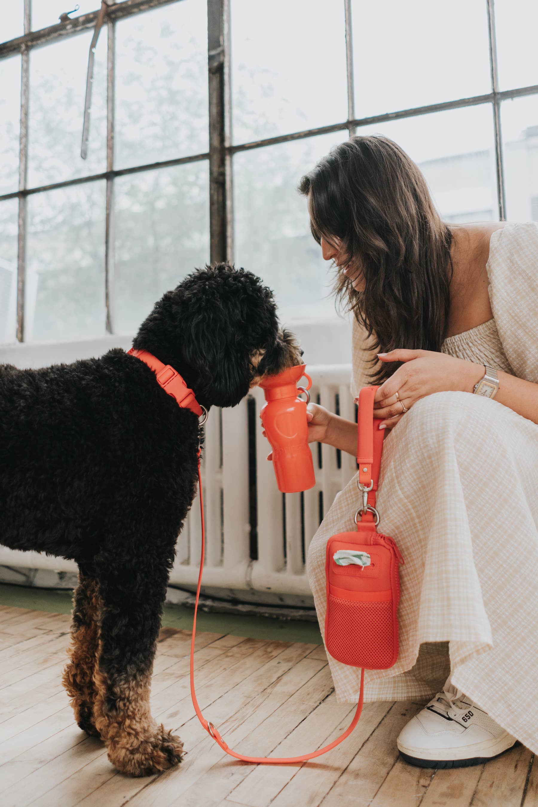 Springer - Walk Bag With Dog Leash