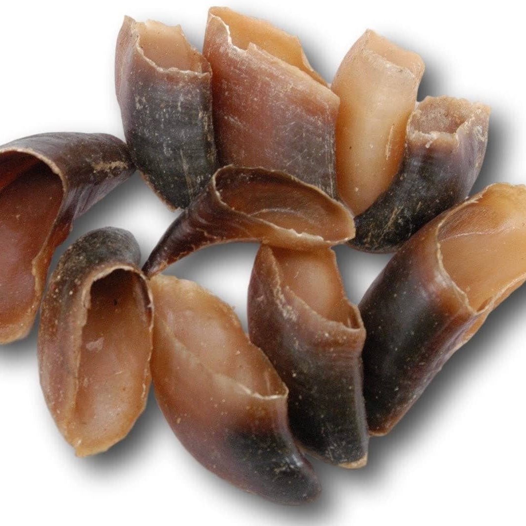 Collection of dark brown cow hoof dog chews on a white background.