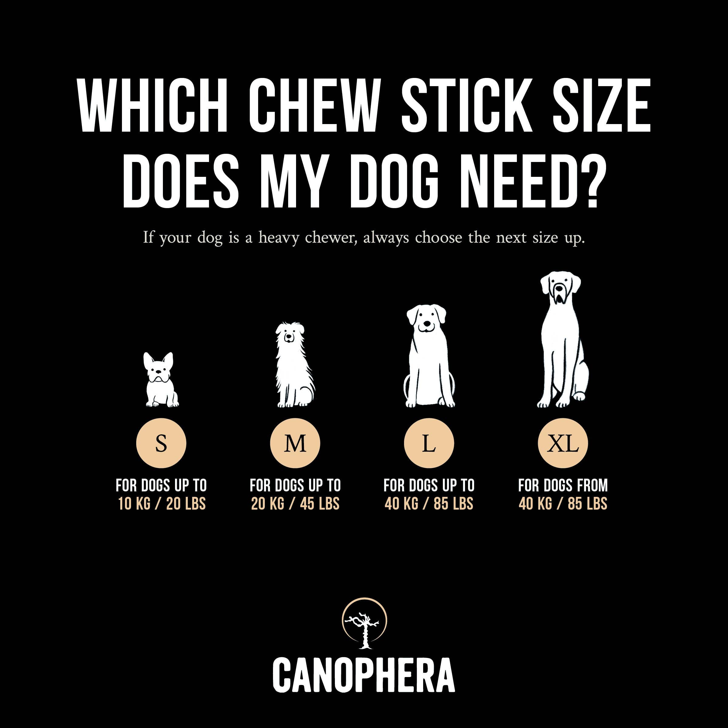 CANOPHERA LLC - Dog Chew Made of Coffee Wood and Coconut Rope.: English / XS