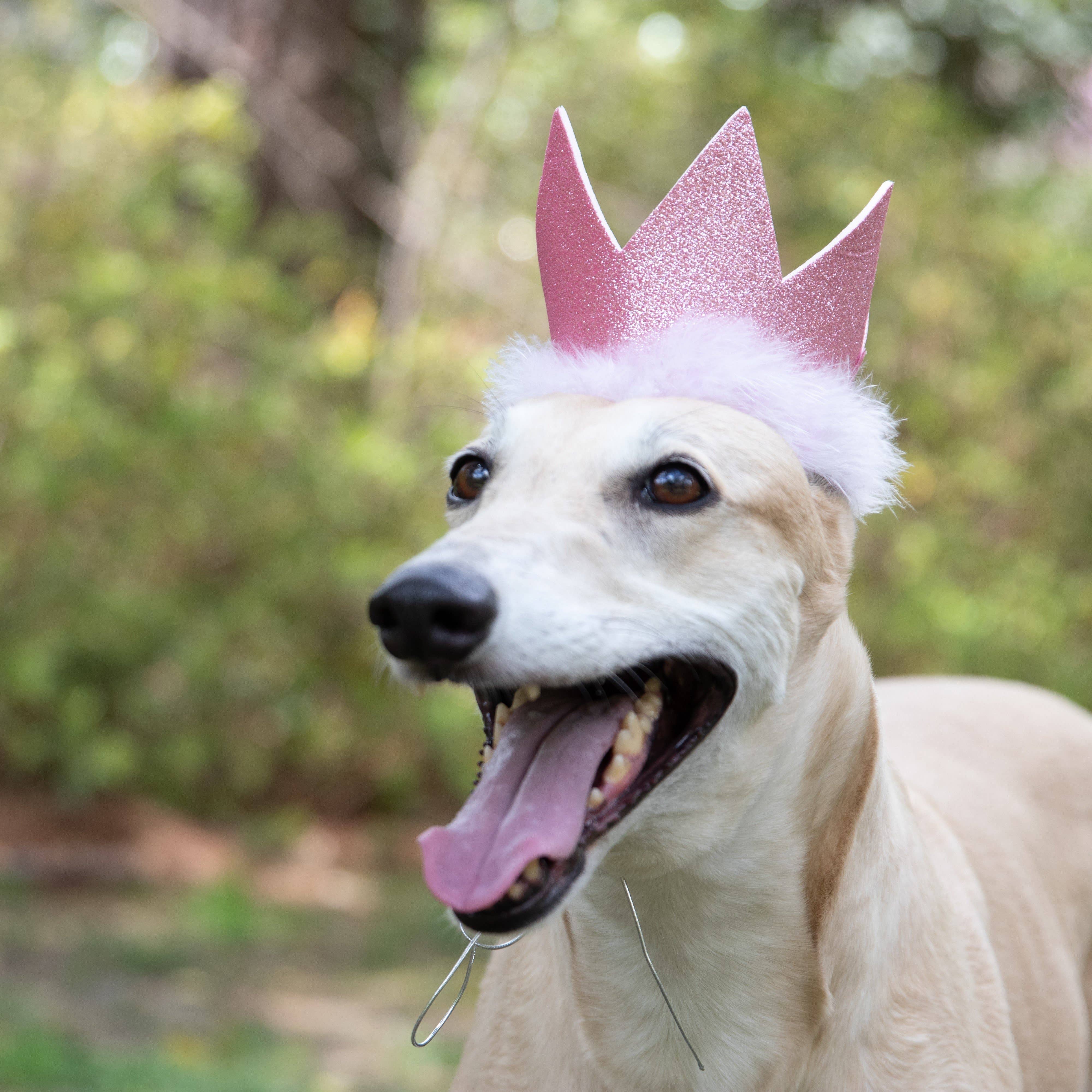 Party Crown Pink with SnugFit®