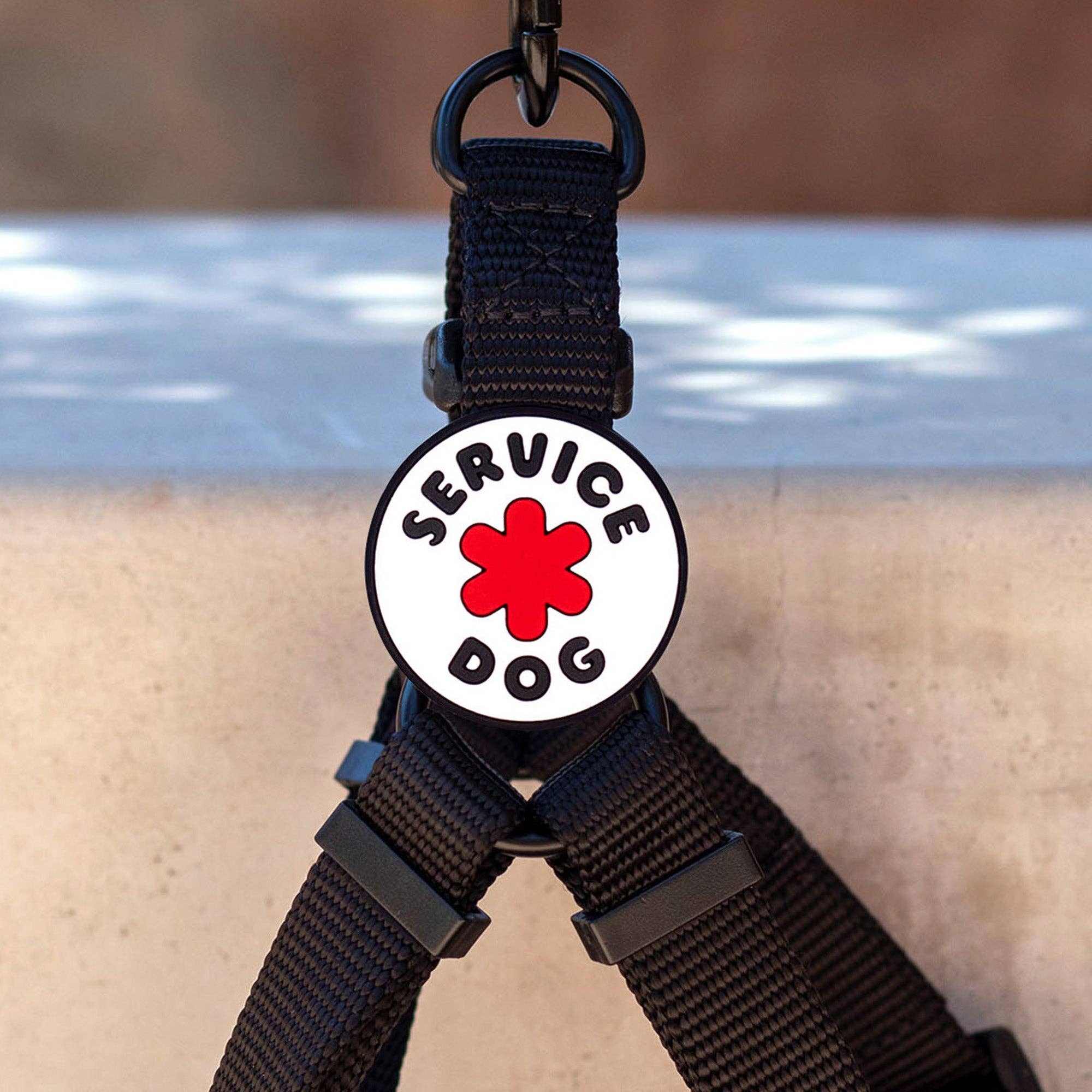 Jiby Dog Crew - Service Dog Jiby