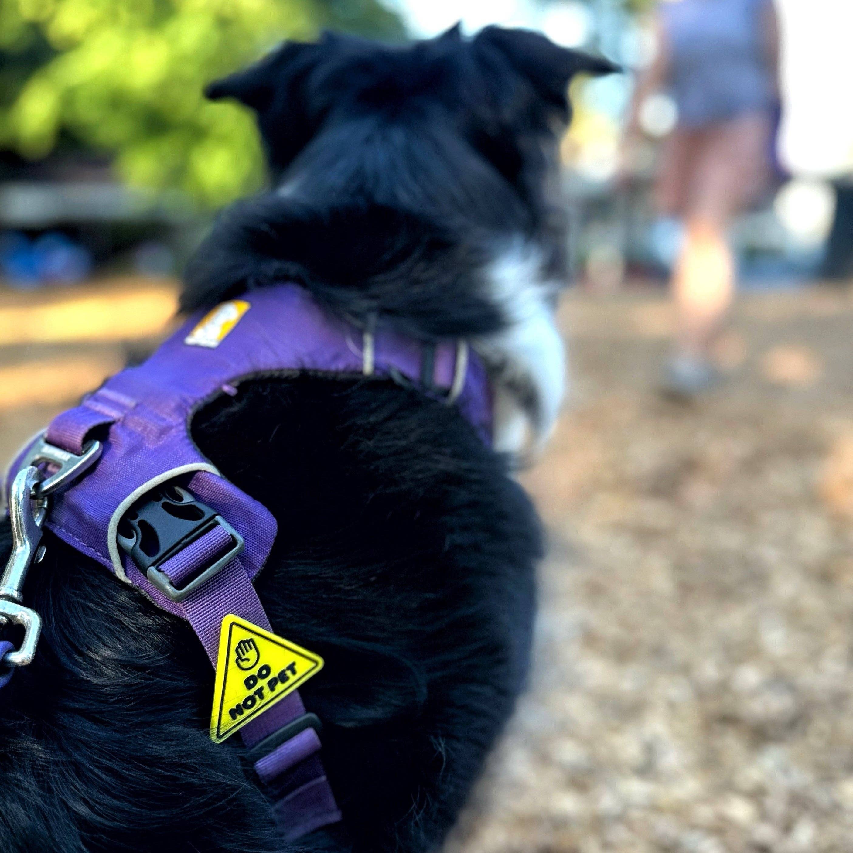 Jiby Dog Crew - Do Not Pet Dog Jiby