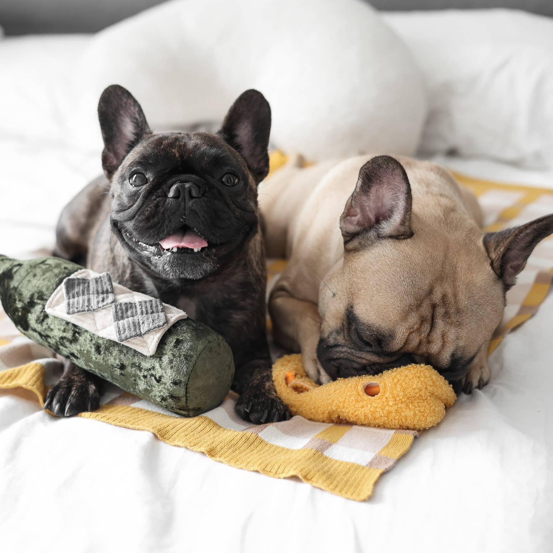 Lambwolf Collective - FROMAGE//ENRICHMENT DOG TOY