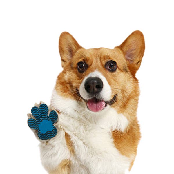 BRIGHT IRIS - Silicone Dog Paw Protector