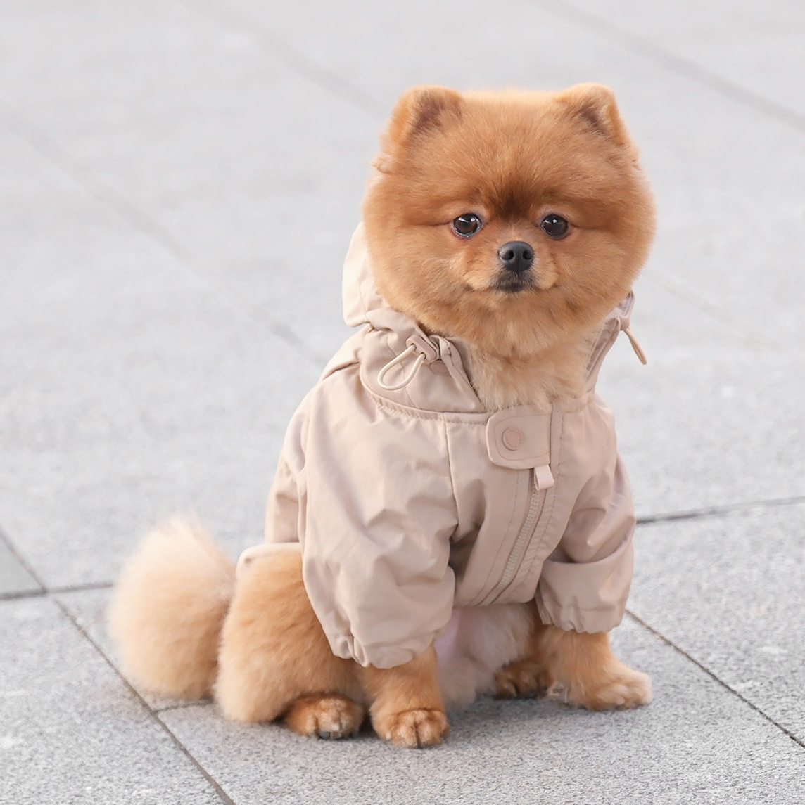 BROOKLYN//DOG CLOTHING//APPAREL: M / Fern