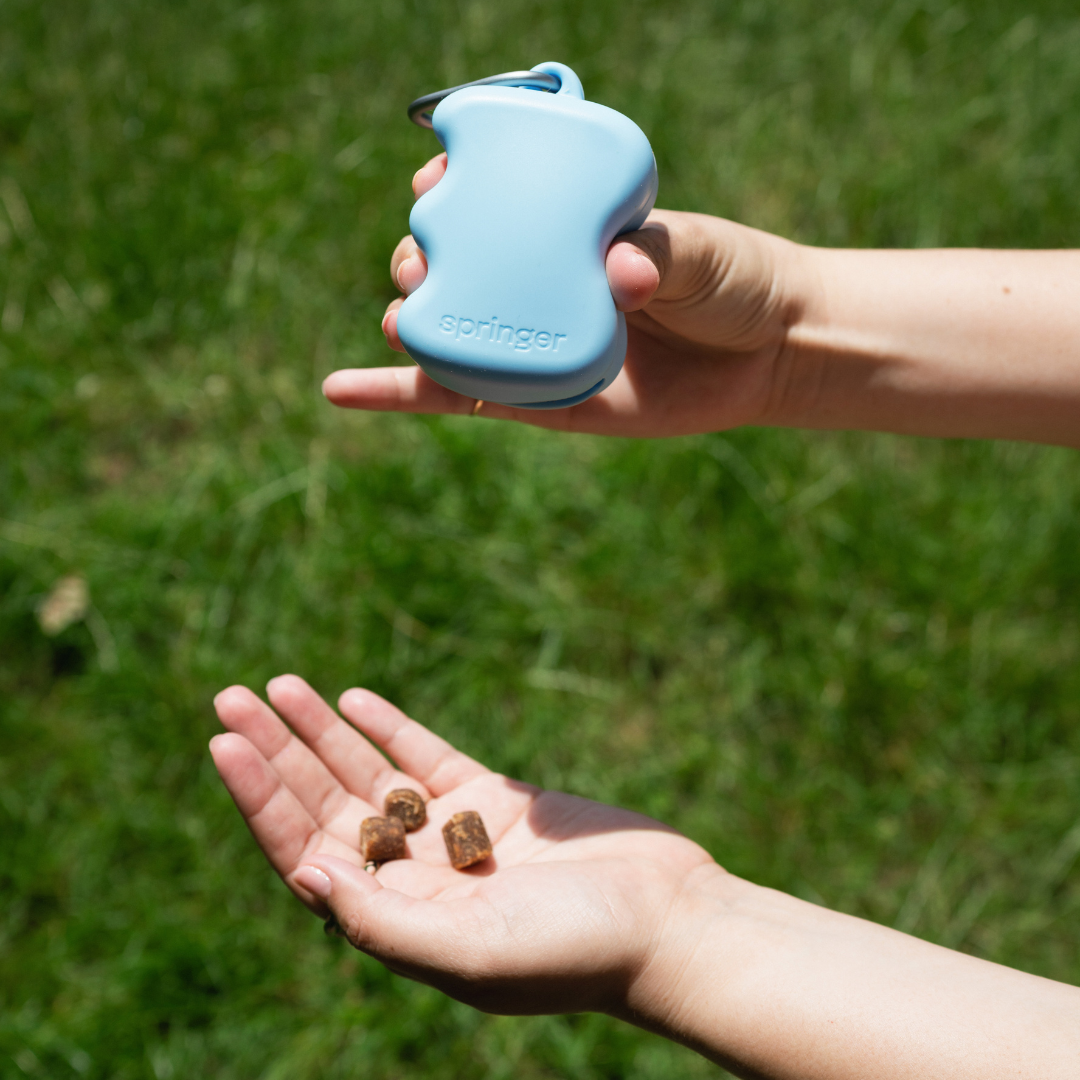 Springland Pets - Silicone Dog Treat Dispenser