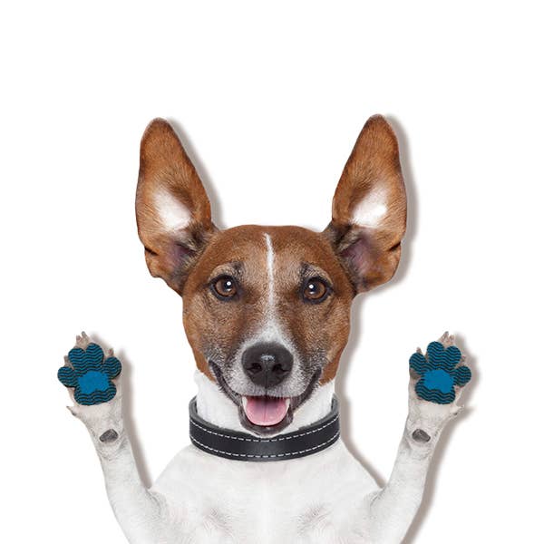 BRIGHT IRIS - Silicone Dog Paw Protector