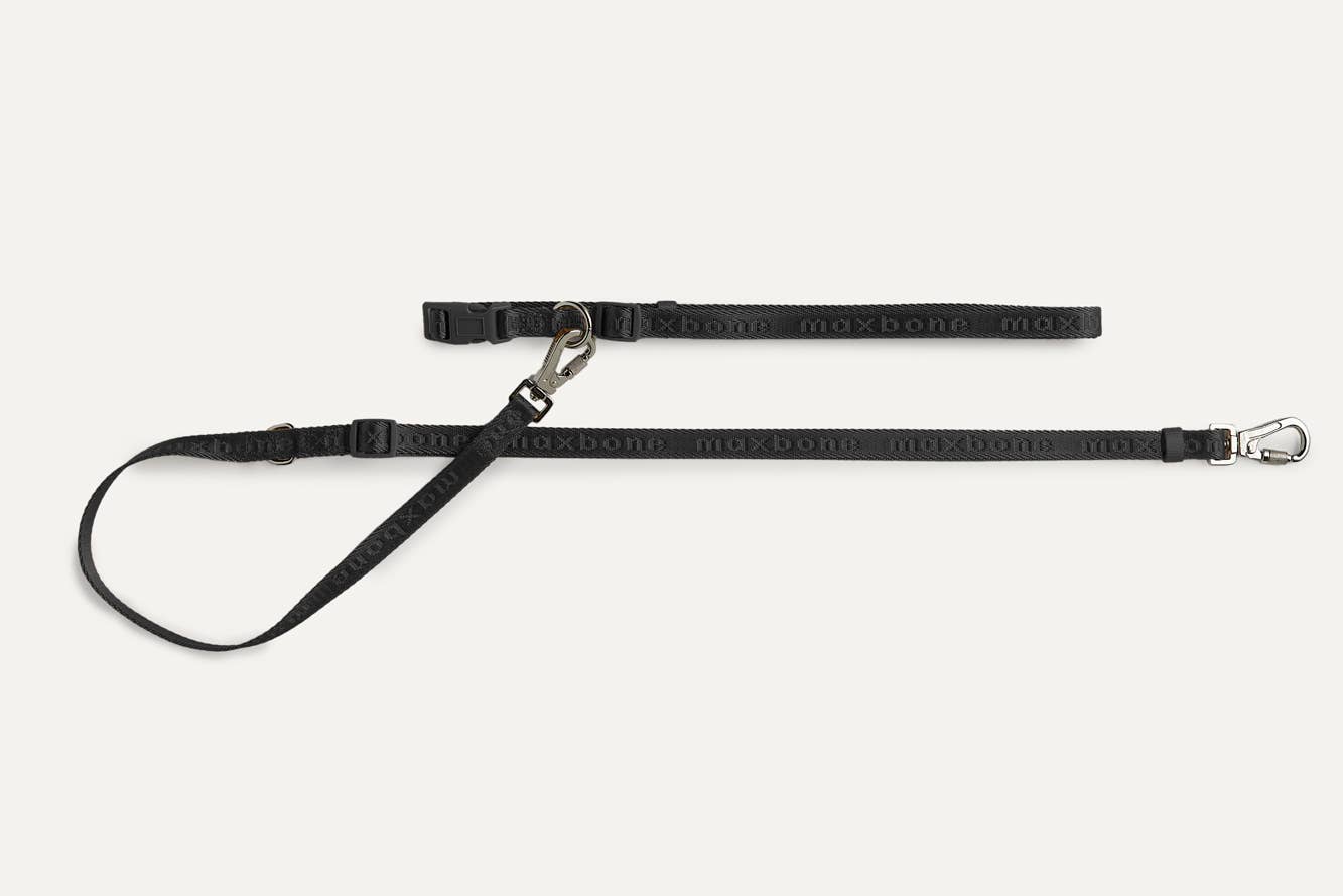 Mini Go with Ease Hands Free Dog Leash: Light Grey