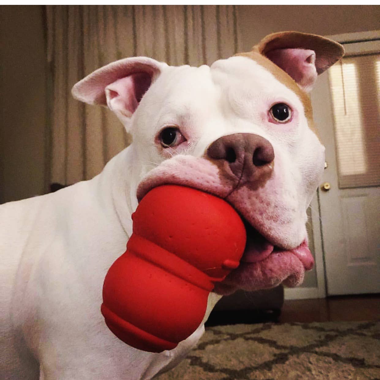 MKB Snowman - Chew Toy - Treat Dispenser - Large - Red