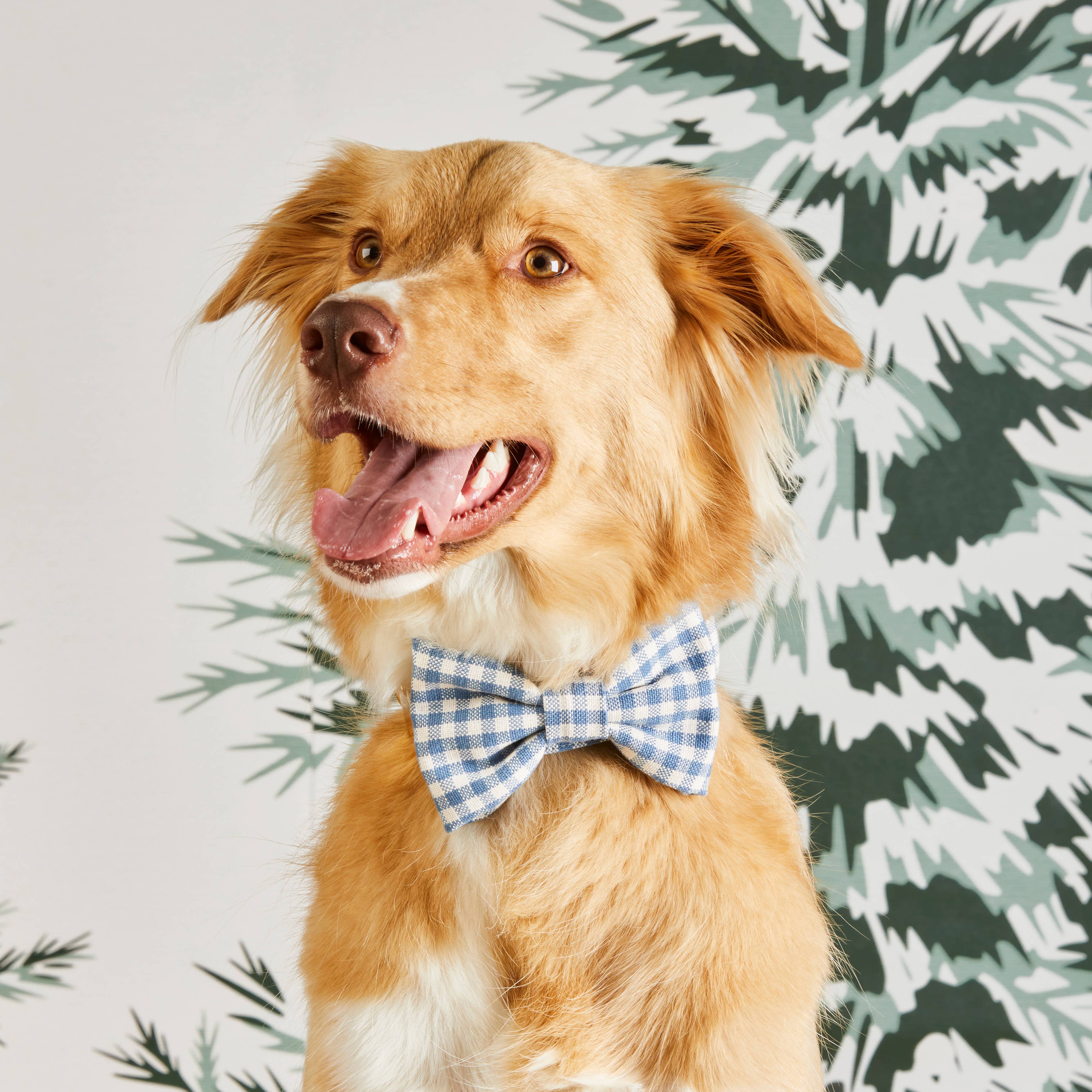 Cloud Blue Gingham Dog Bow Tie: Standard