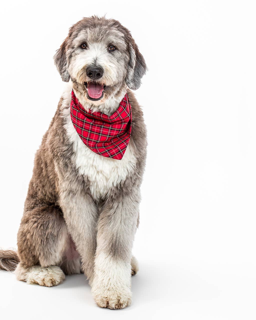 WINTER BANDANAS: BERRY GINGHAM