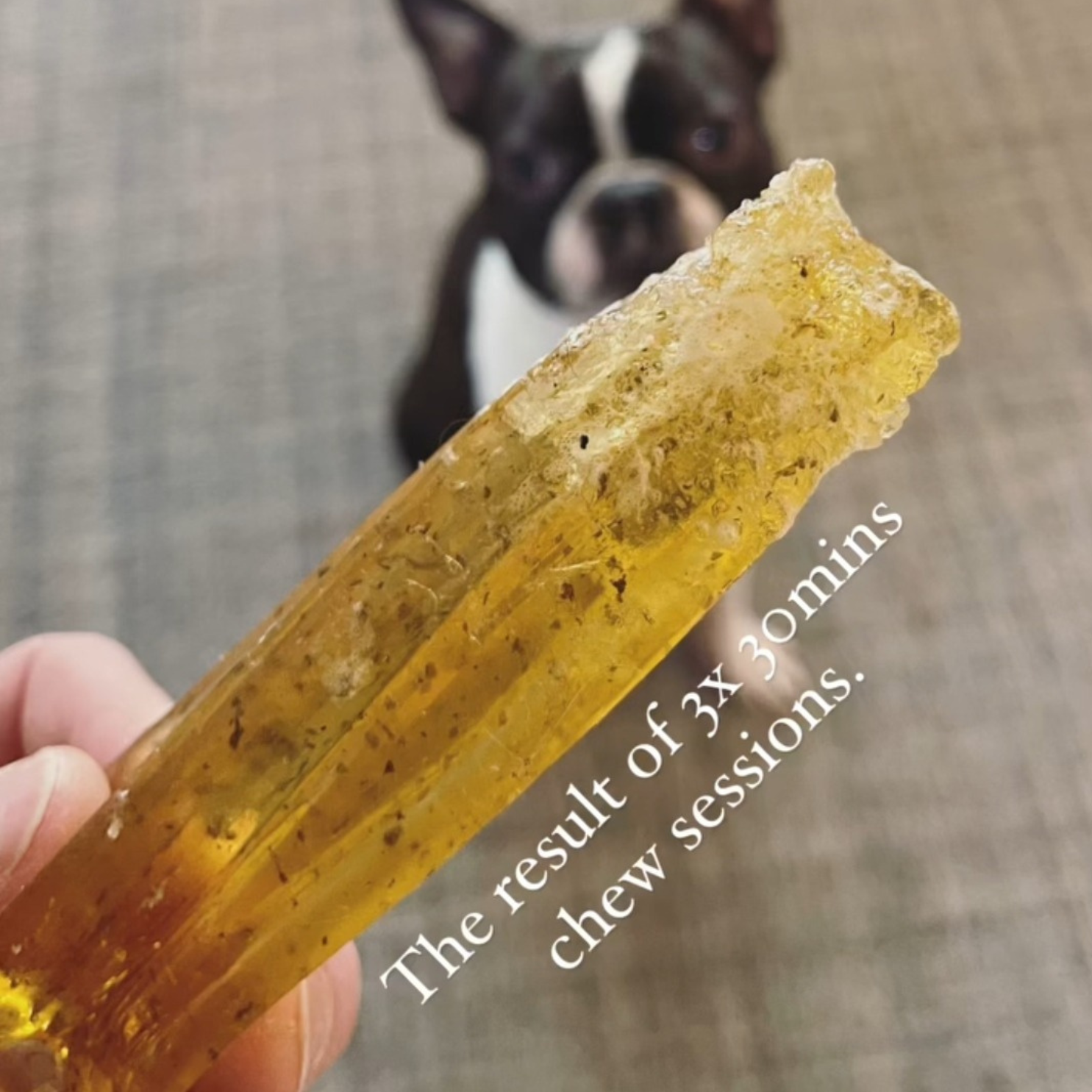 Wag & Bright Supply Co. - Mighty Marrows Collagen Dental Chew - Beef Liver - Large