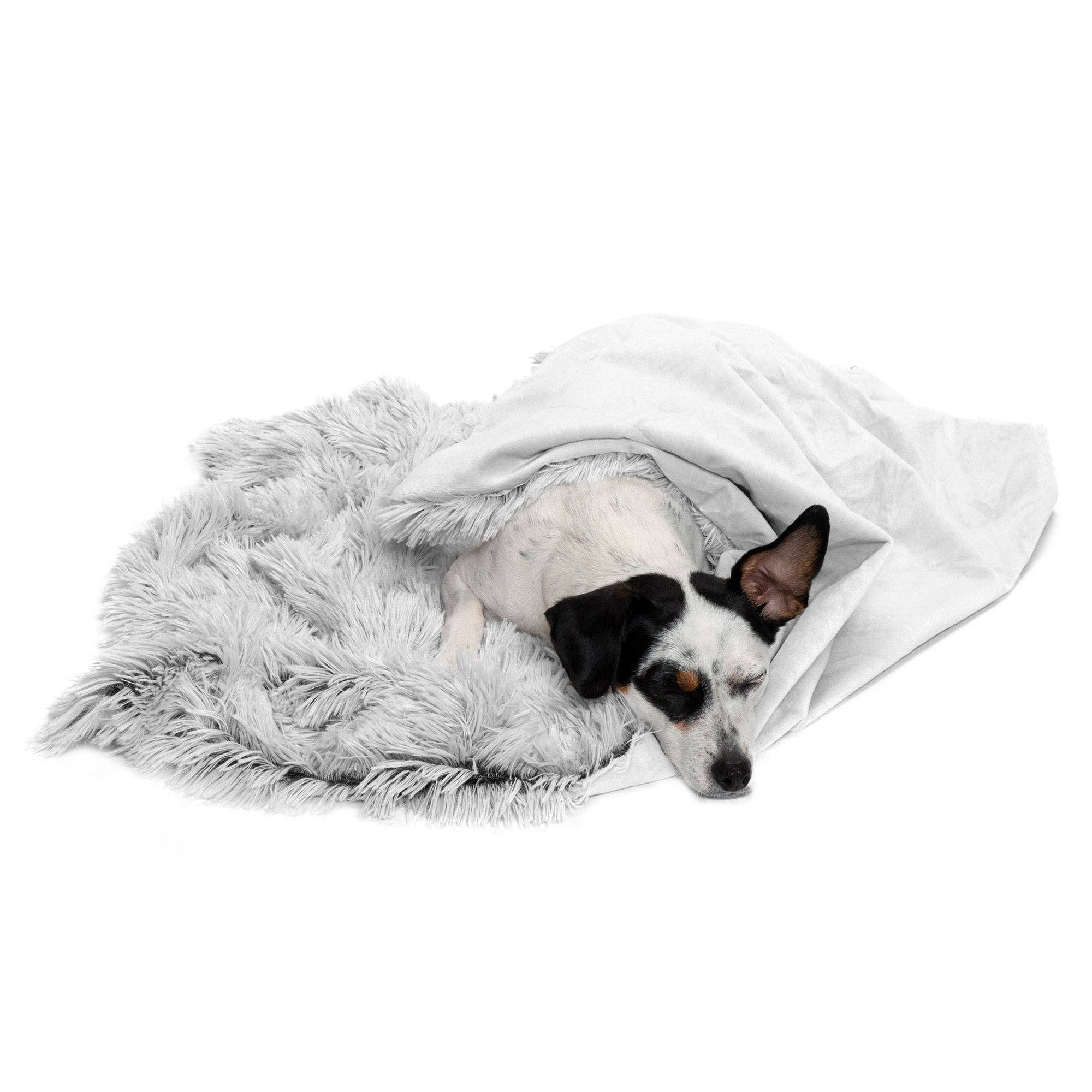 Long Fur & Velvet Pet Throw Blanket: Taupe / Medium