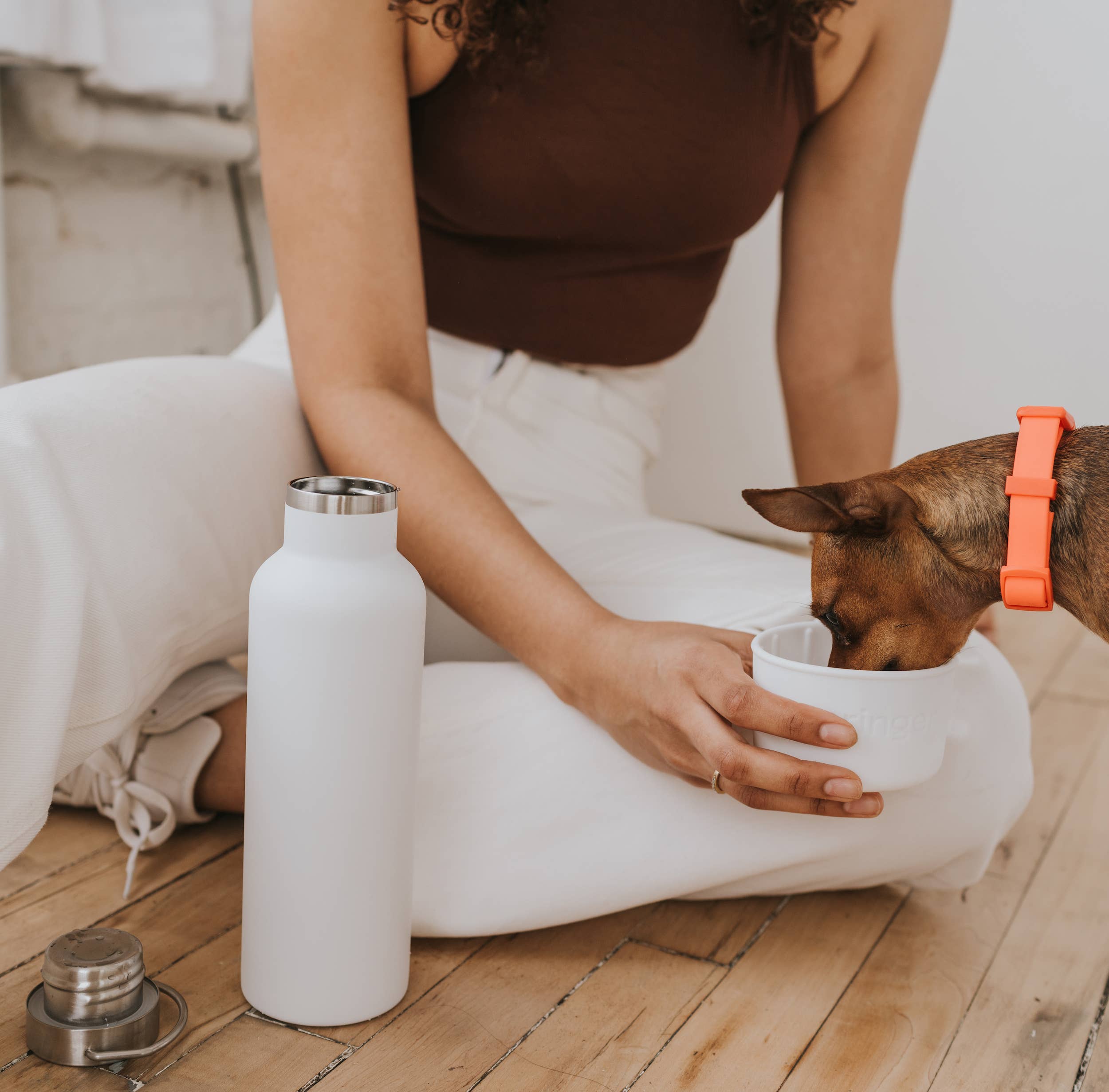 Springer - Dog & Me Insulated Water Bottle