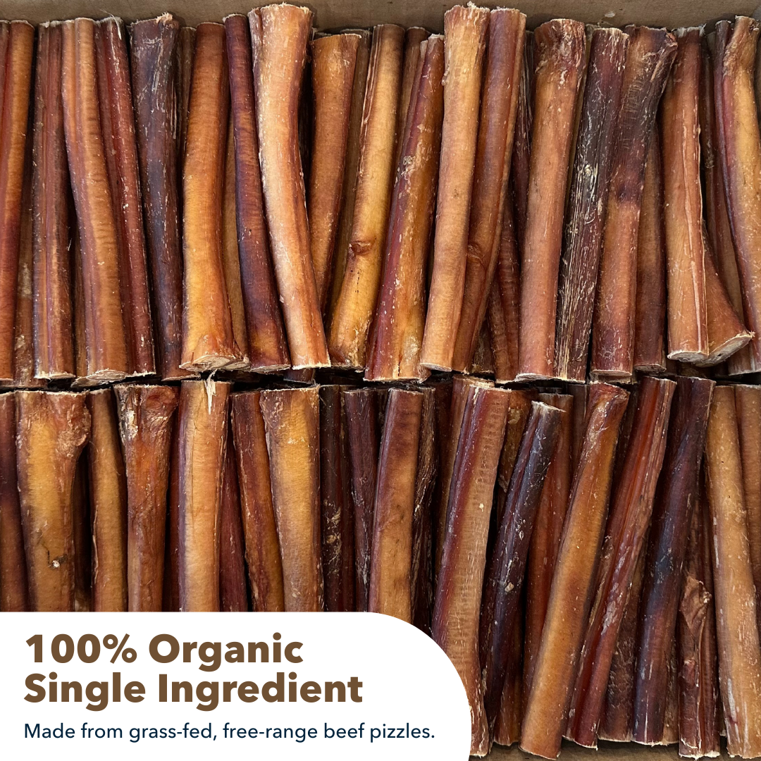 Mighty Chewz - 6" Thick Bully Sticks
