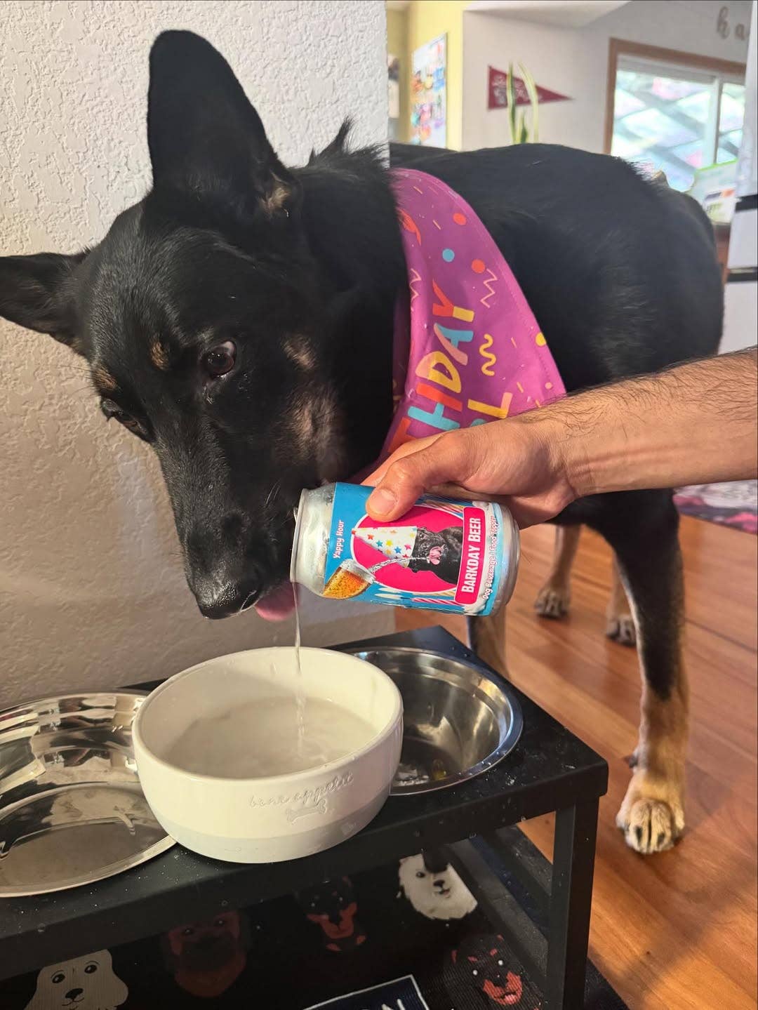 Yappy Hour - Barkday Beer