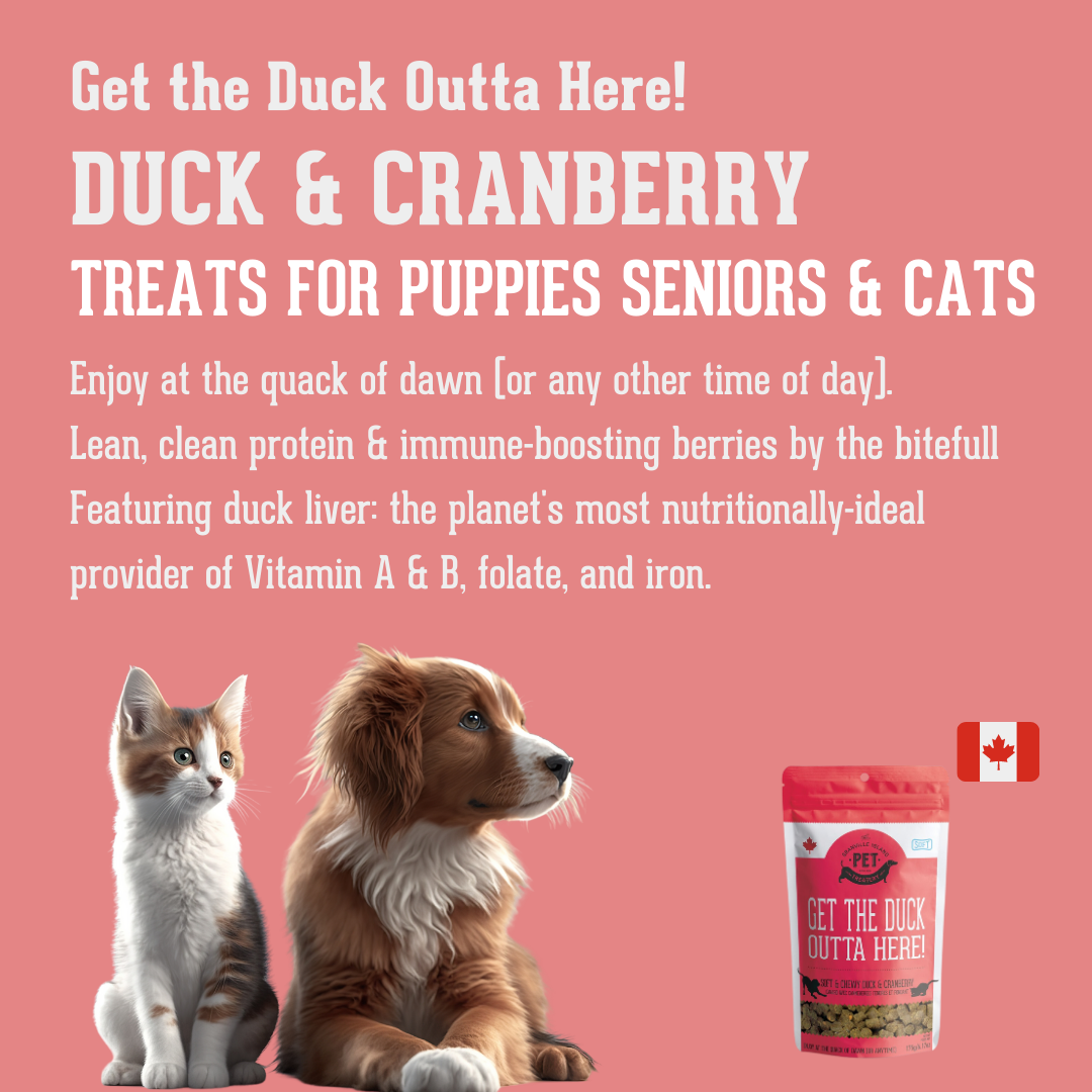 Soft & Chewy Duck & Cranberry Treat For Dogs & Cats 175g