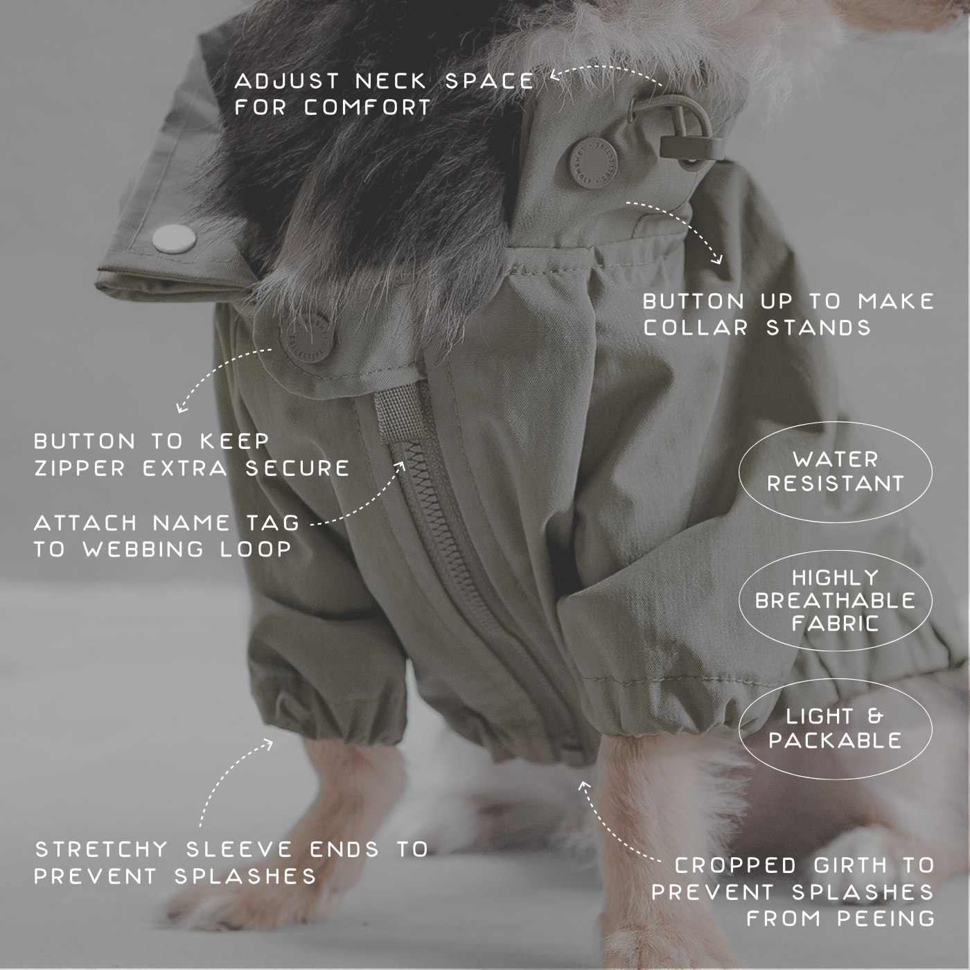 BROOKLYN//DOG CLOTHING//APPAREL: M / Fern