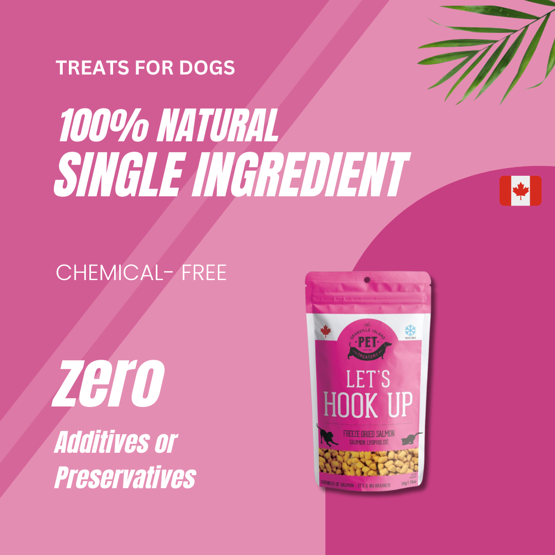 Freeze Dried Wild Salmon Treat For Dogs 50g