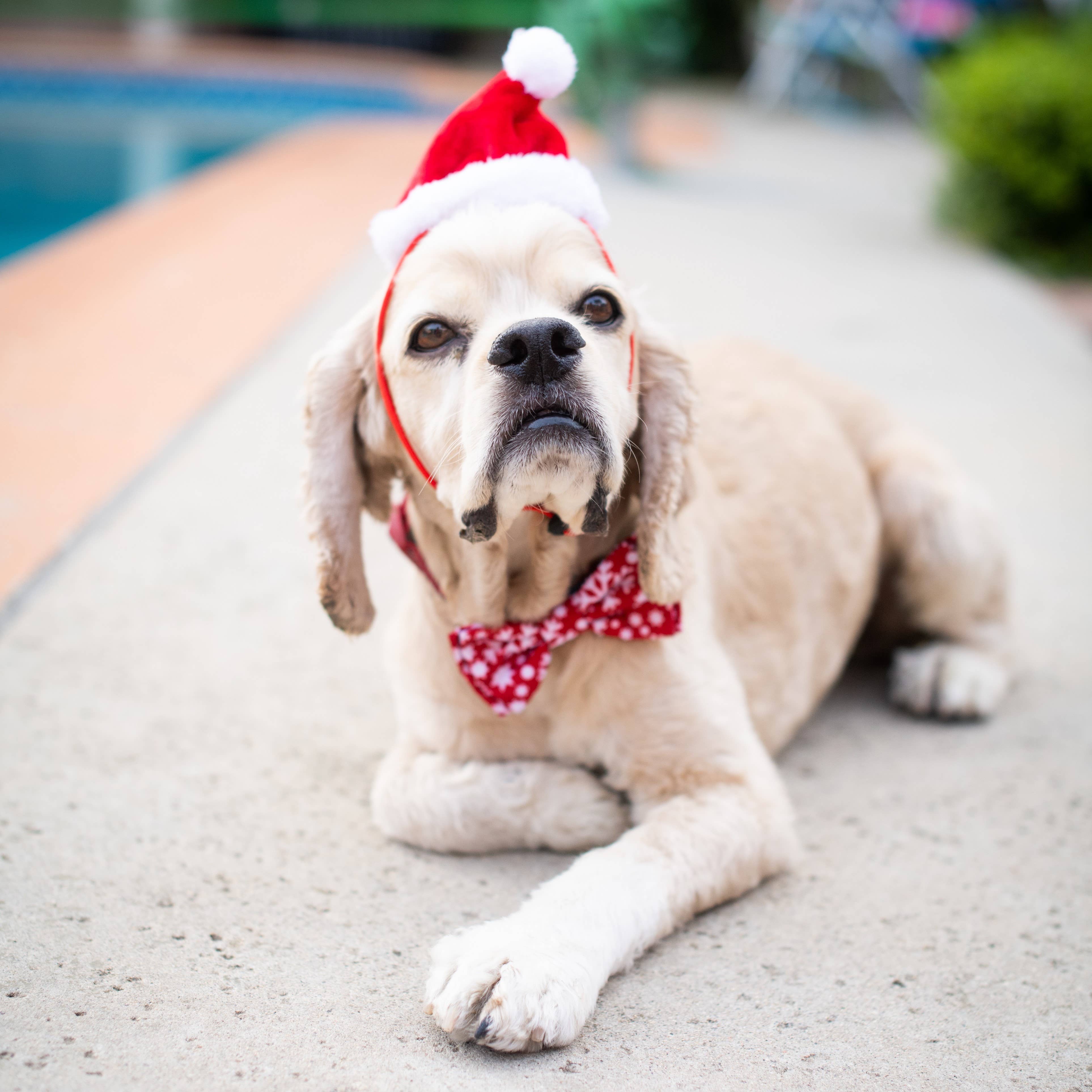 Santa Hat with SnugFit®