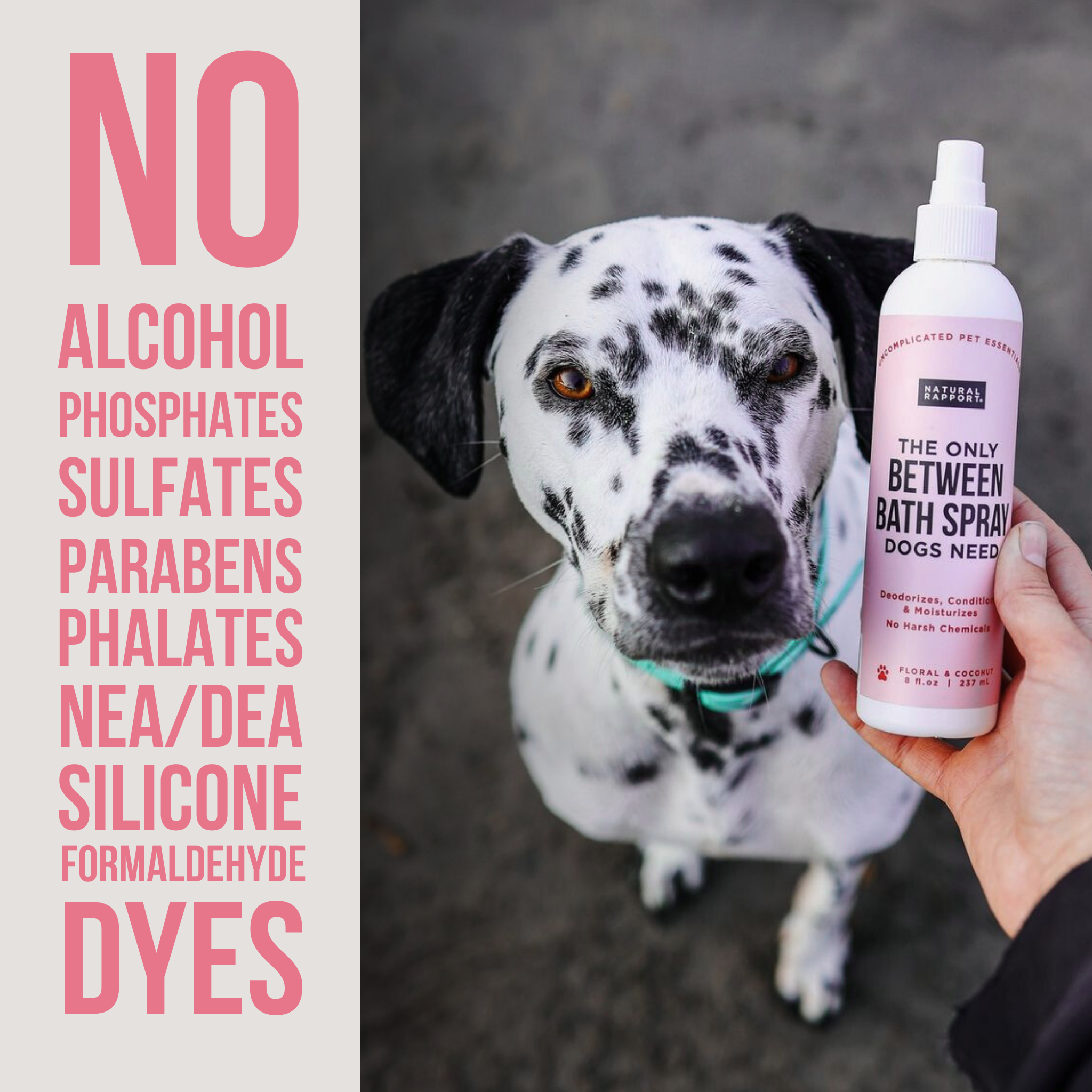 Natural Rapport - The Only Between Bath Spray Dogs Need - Floral & Coconut