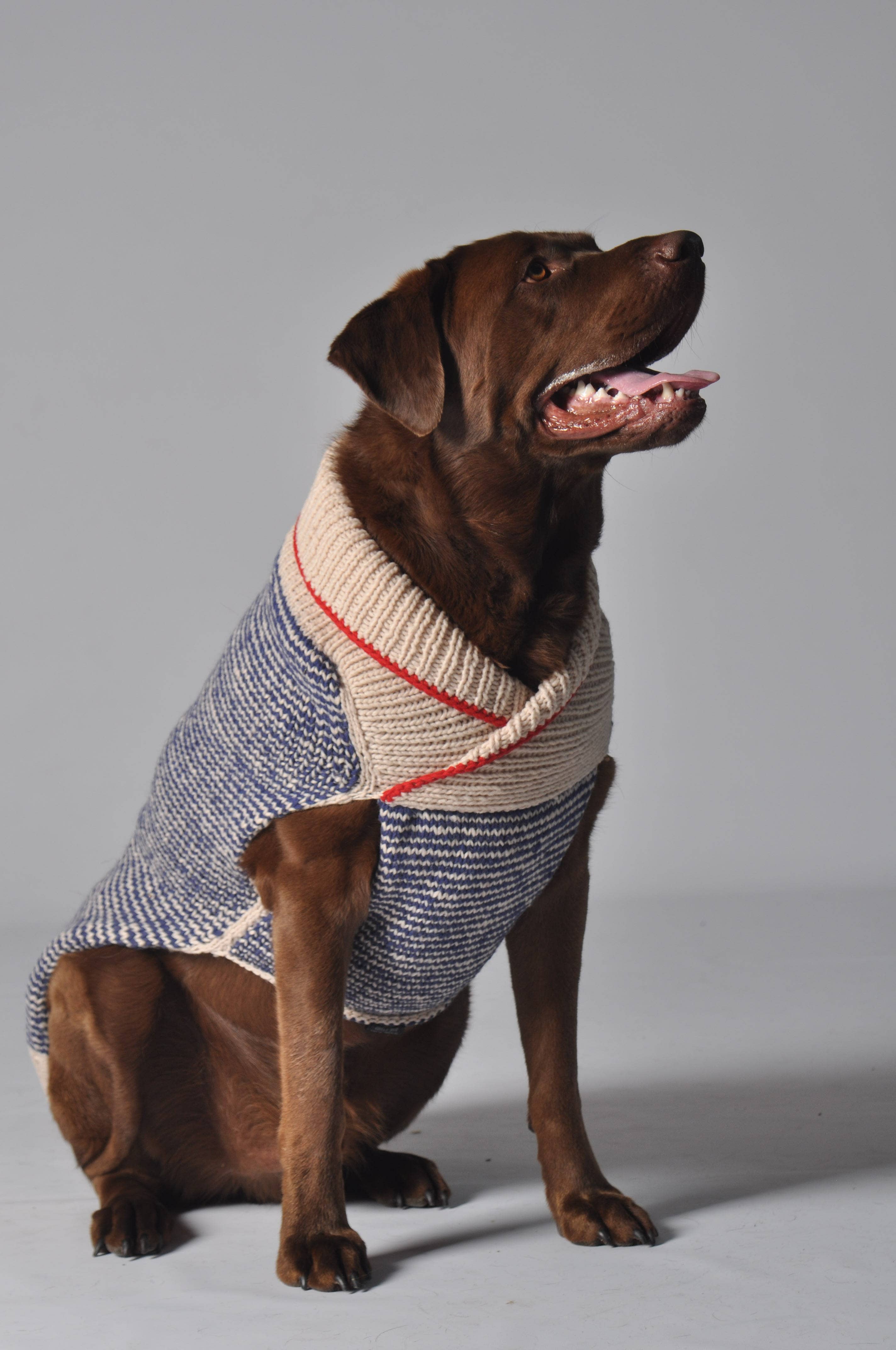 Spencer Dog Sweater