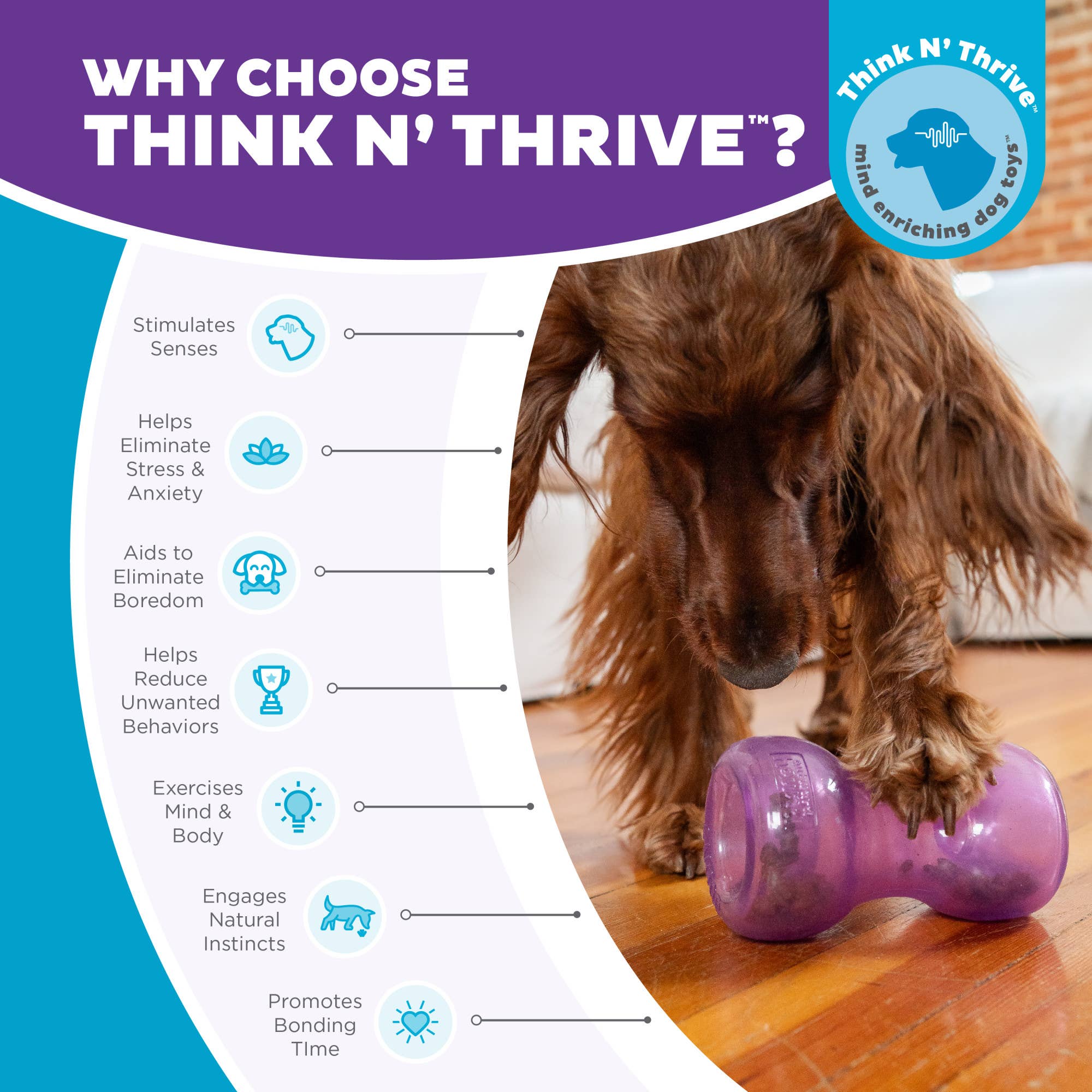 Pet Palette Distribution - Planet Dog Orbee-Tuff Double Snoop Interactive Dog Toy