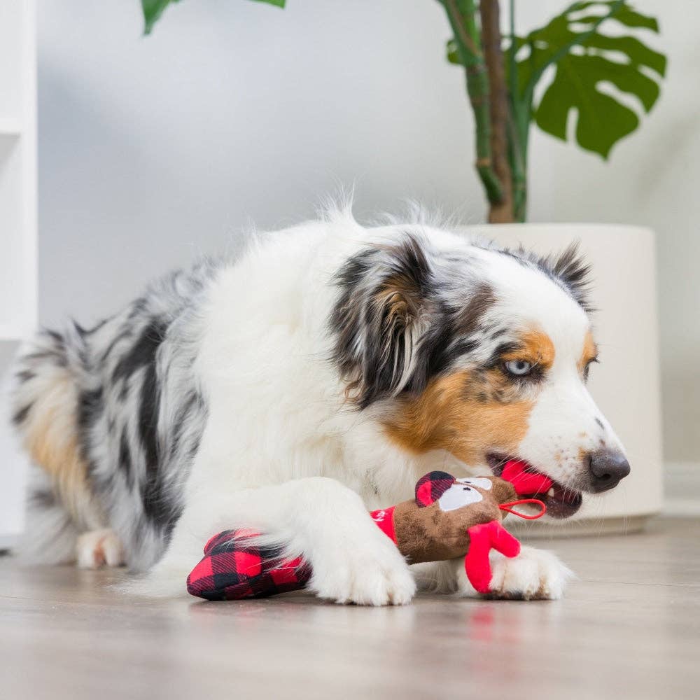 Reindeer Bone