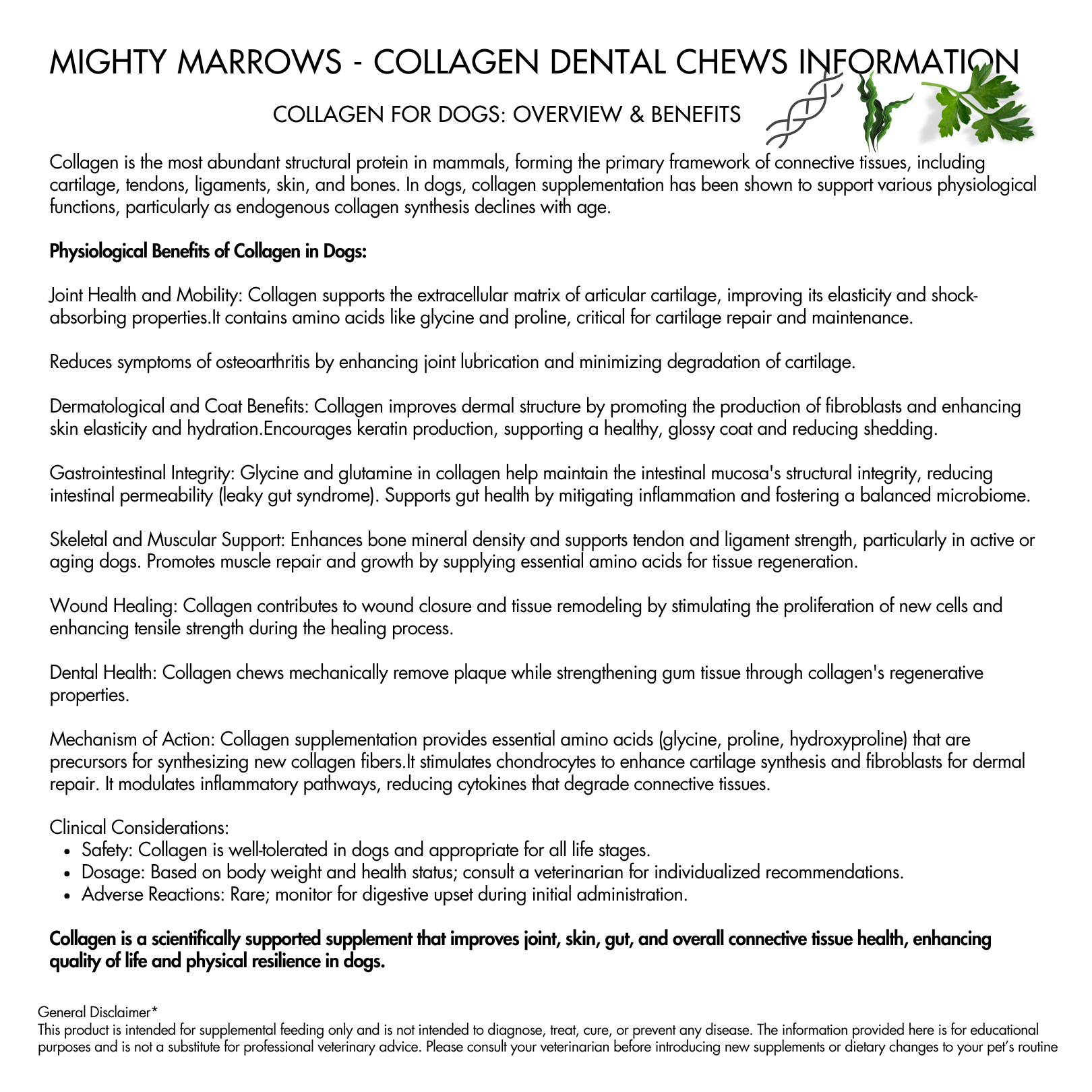 Wag & Bright Supply Co. - Mighty Marrows Collagen Dental Chew - Beef Liver - Large