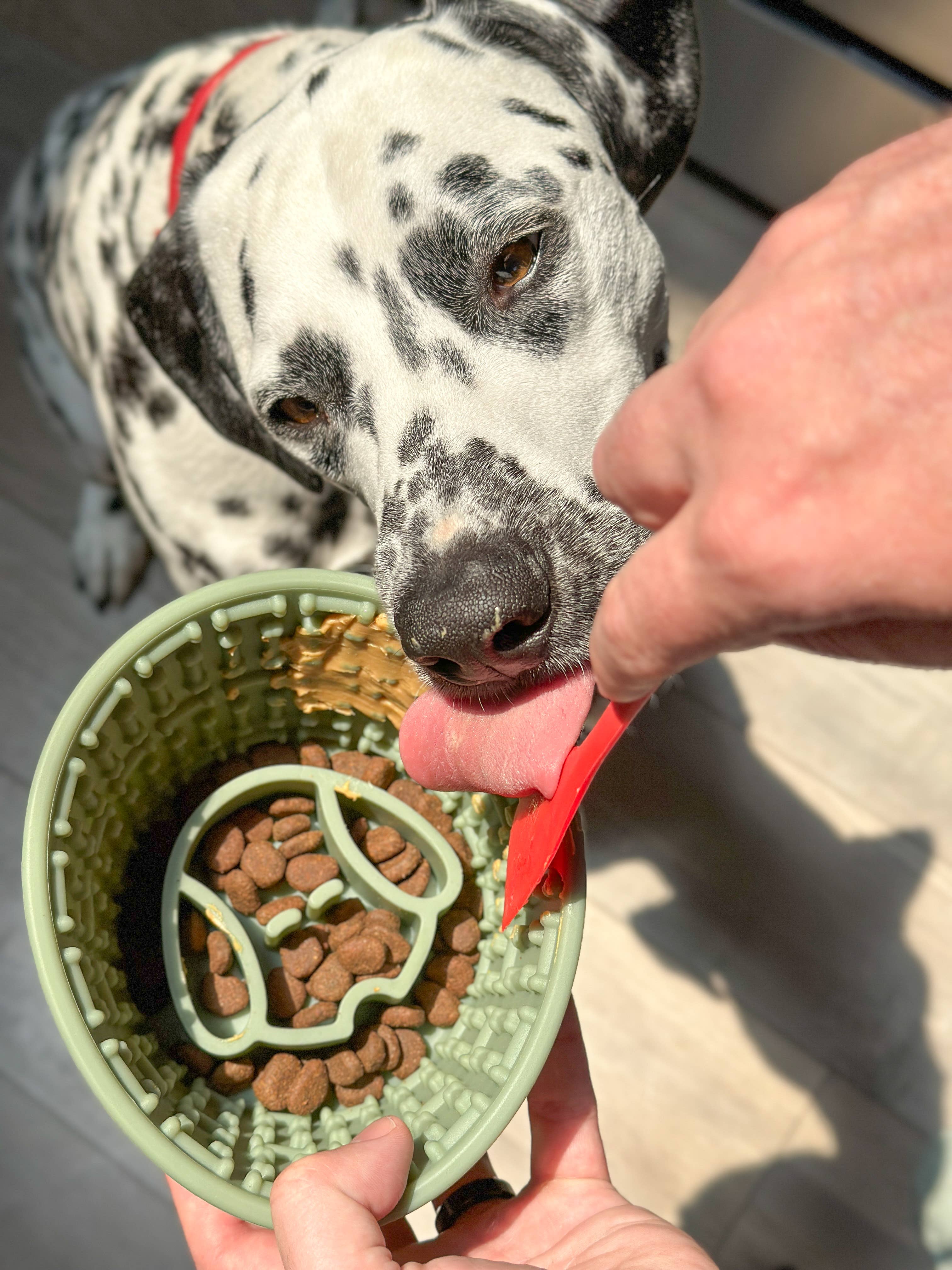 Spot N Knot - Cup Silicone Slow Feeder Dog Bowl with Suction Cup Base